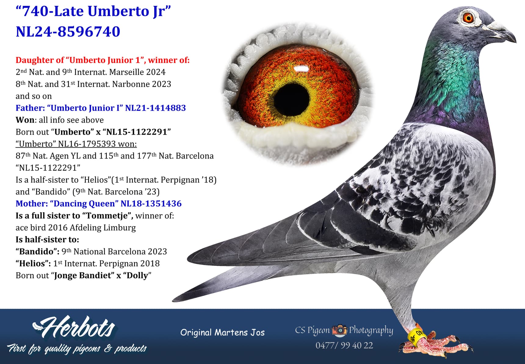 pigeon: undefined
