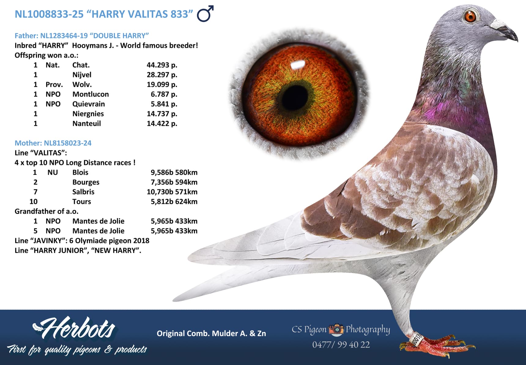 “HARRY VALITAS 833”