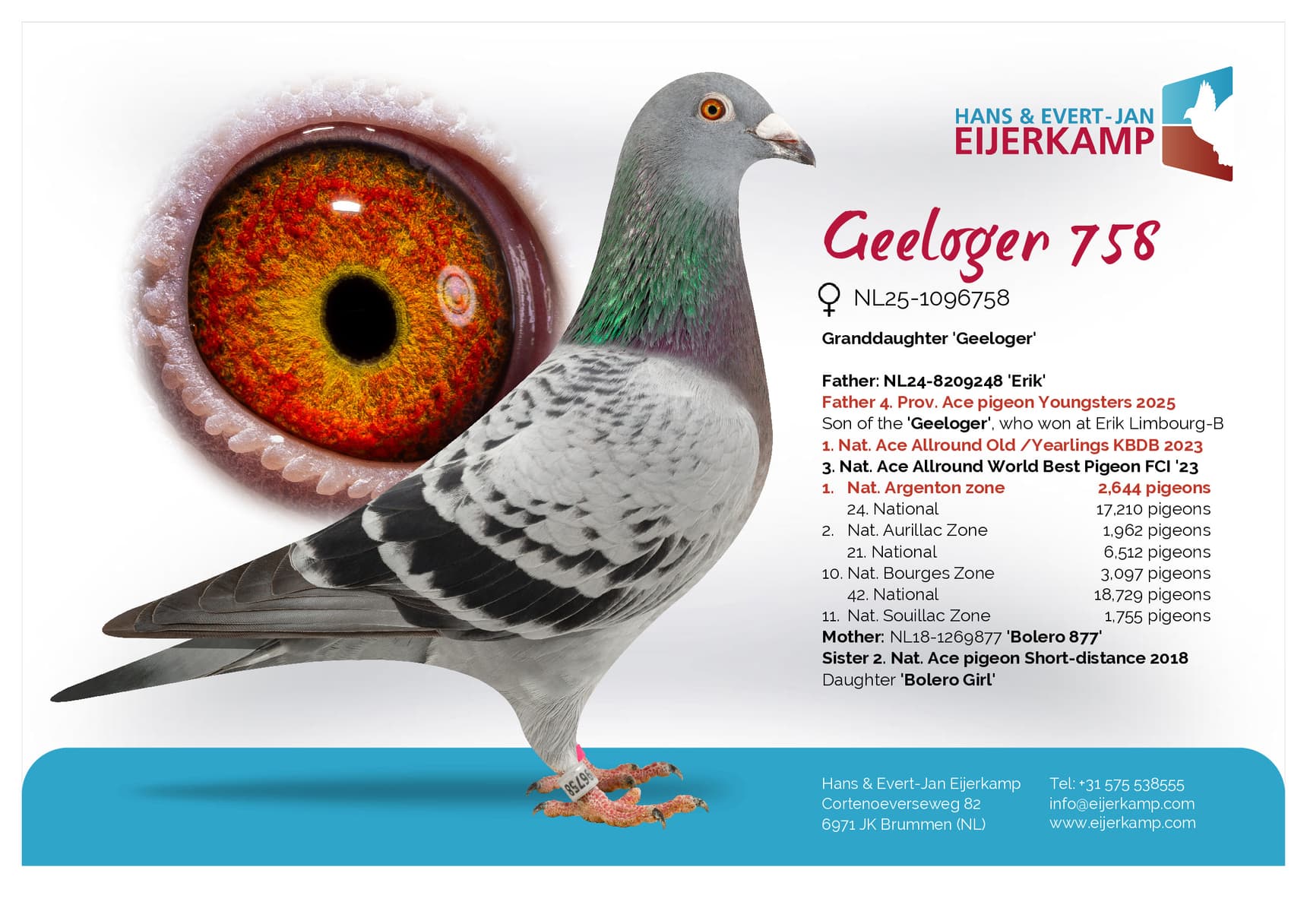 pigeon: "Geeloger 758"