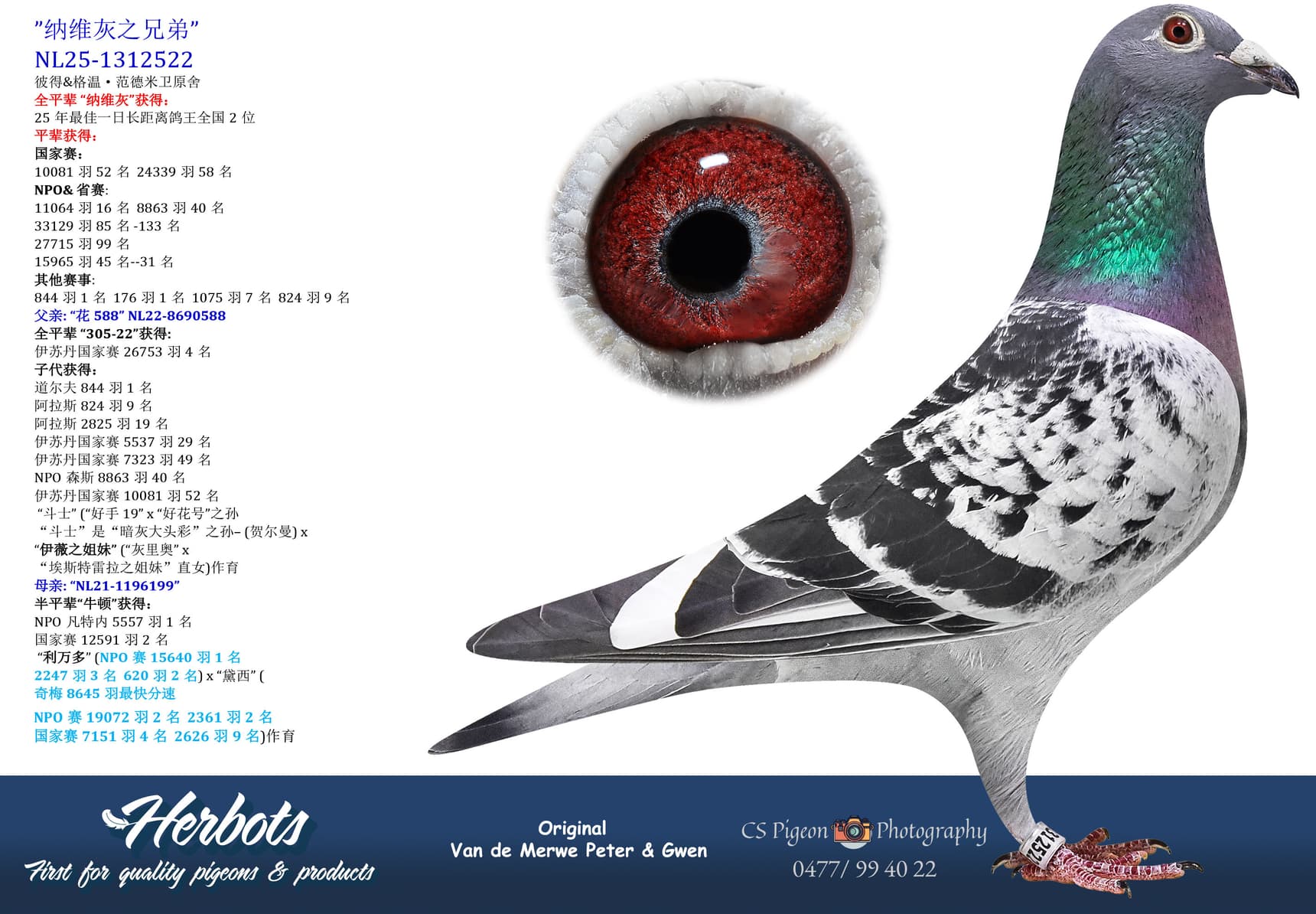 pigeon: undefined
