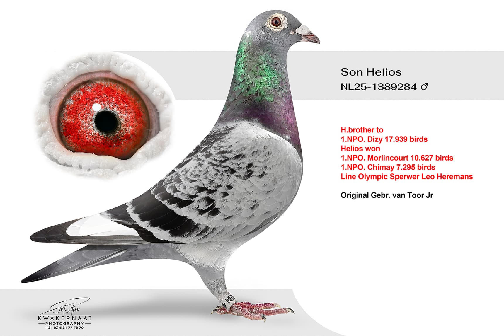Son Helios