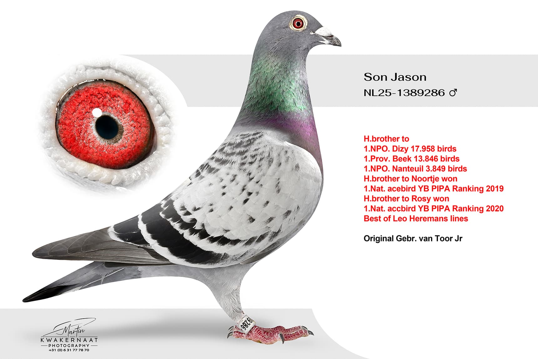 Son Jason