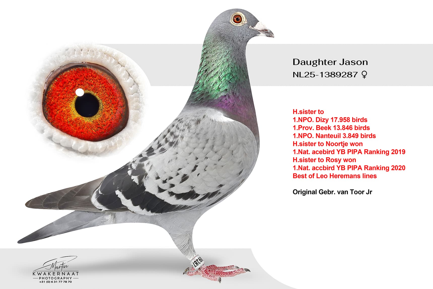 Daughter Jason