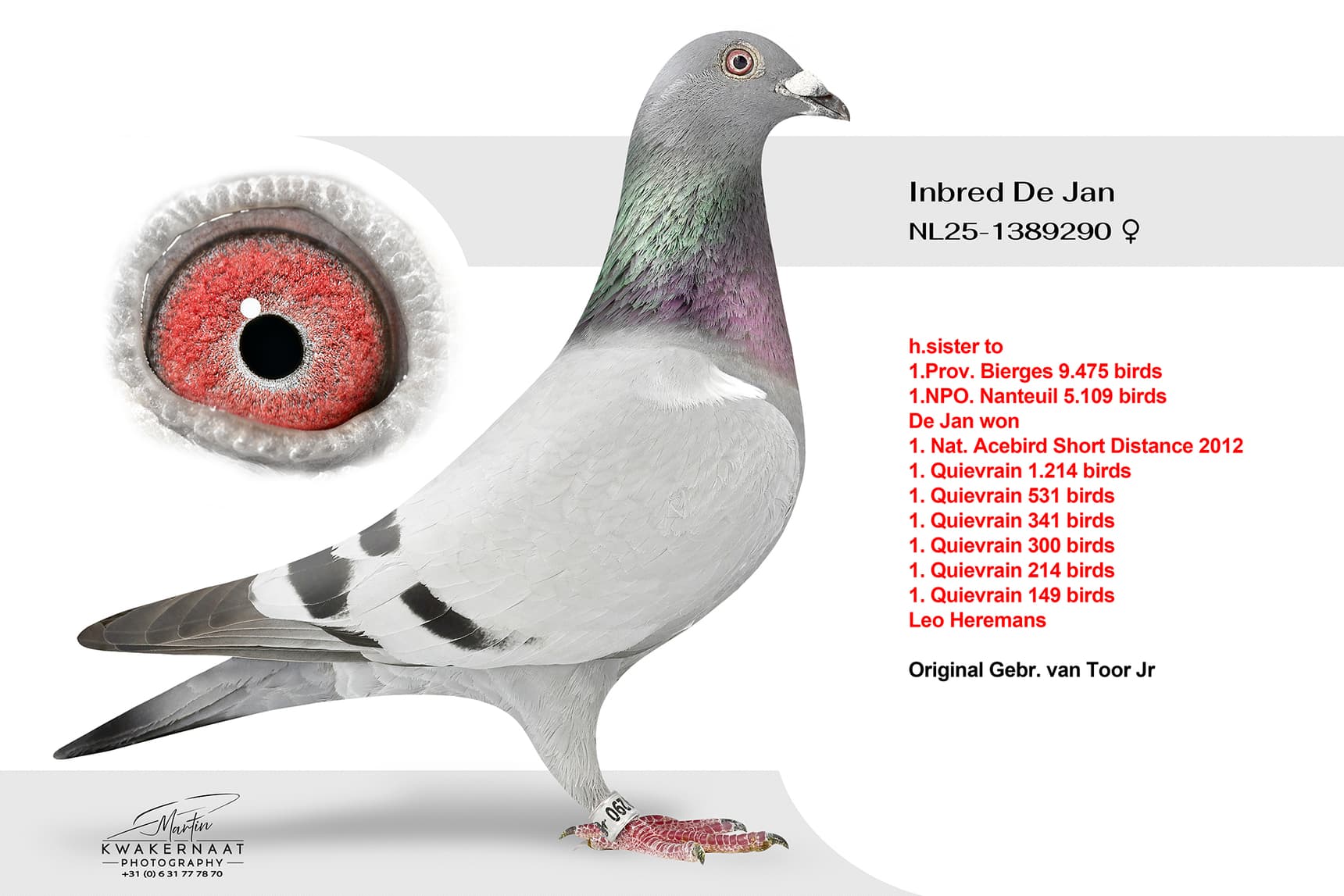 Inbred De Jan