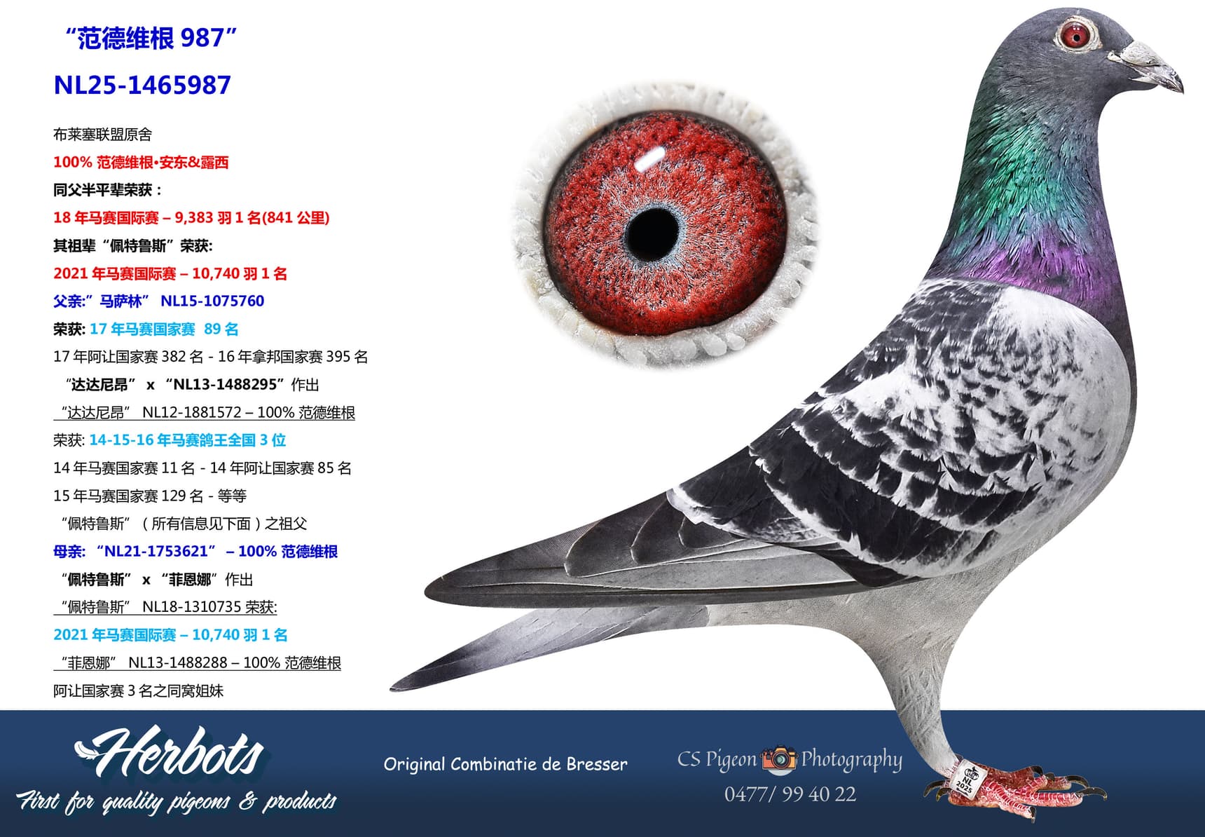 pigeon: undefined