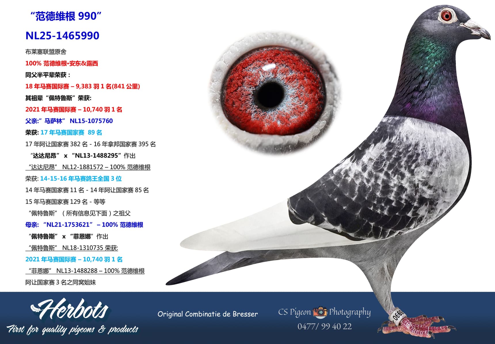 pigeon: undefined