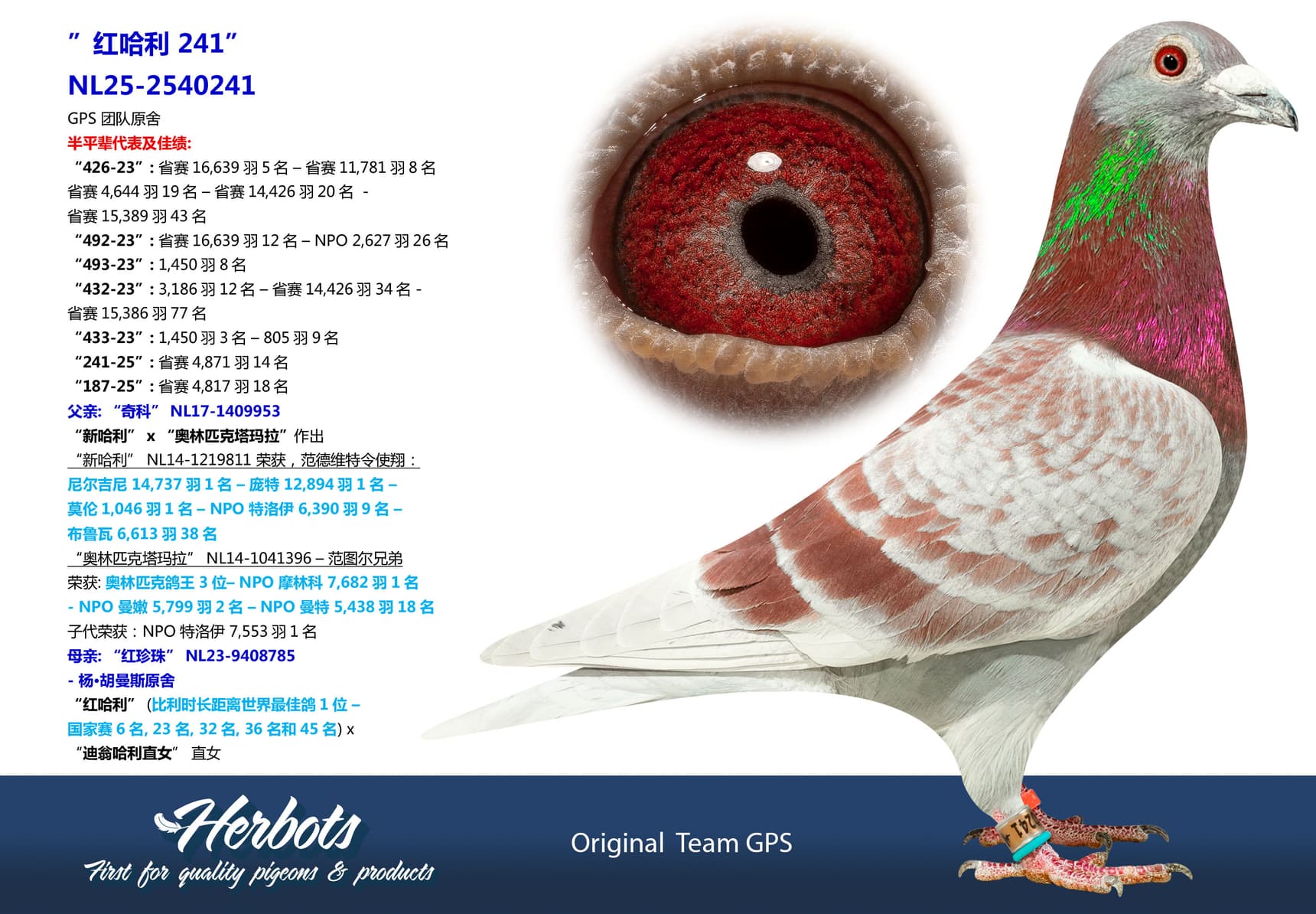 pigeon: undefined