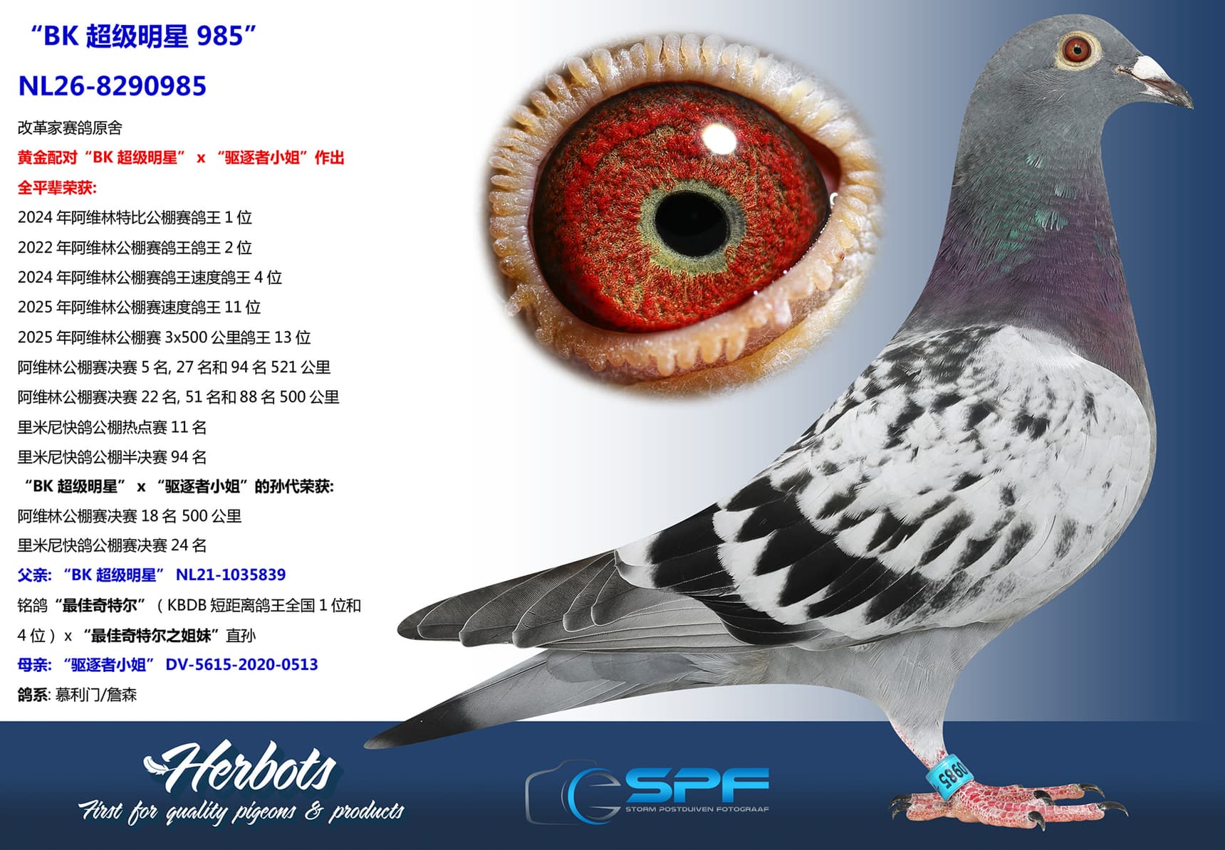pigeon: undefined