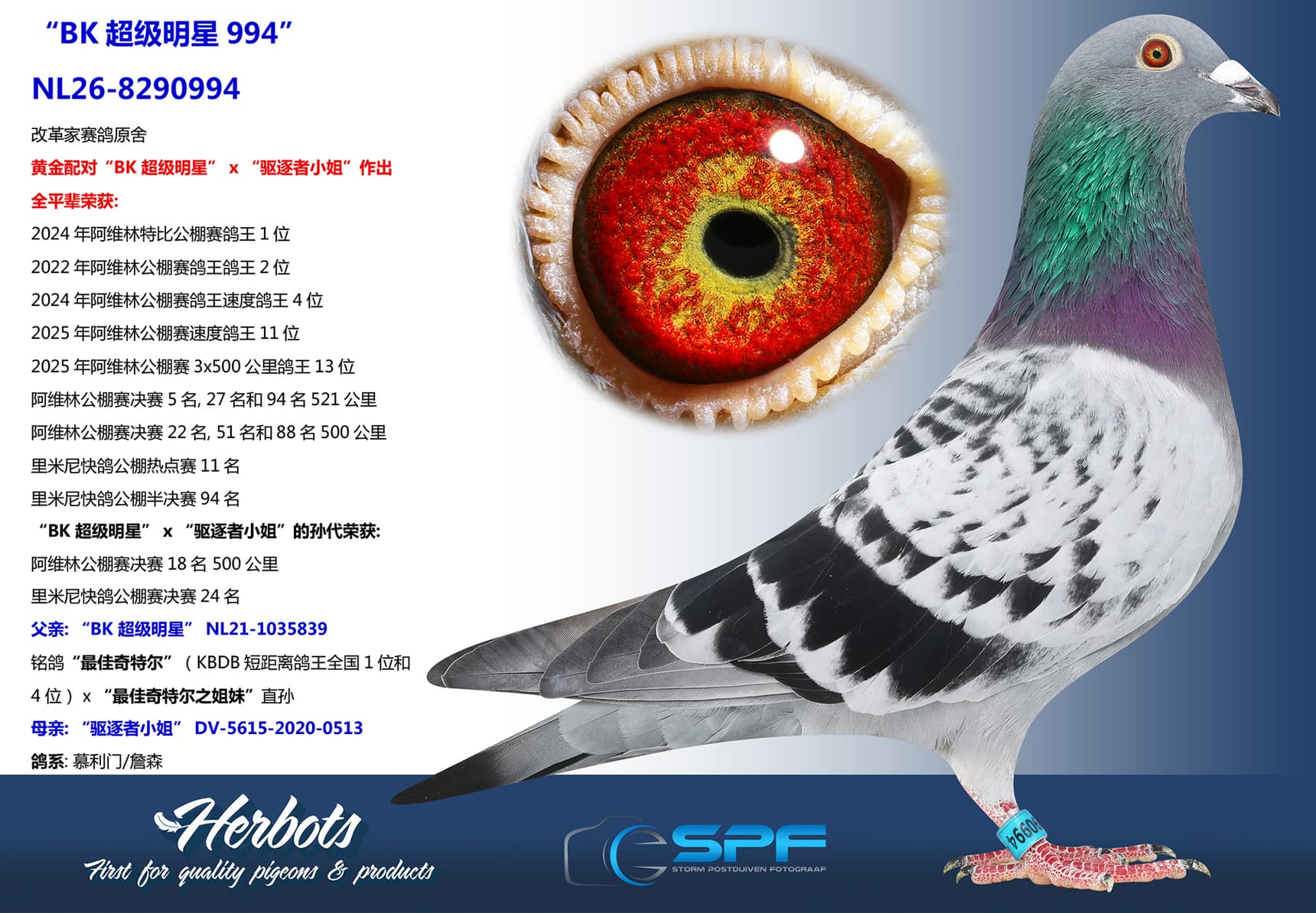 pigeon: undefined