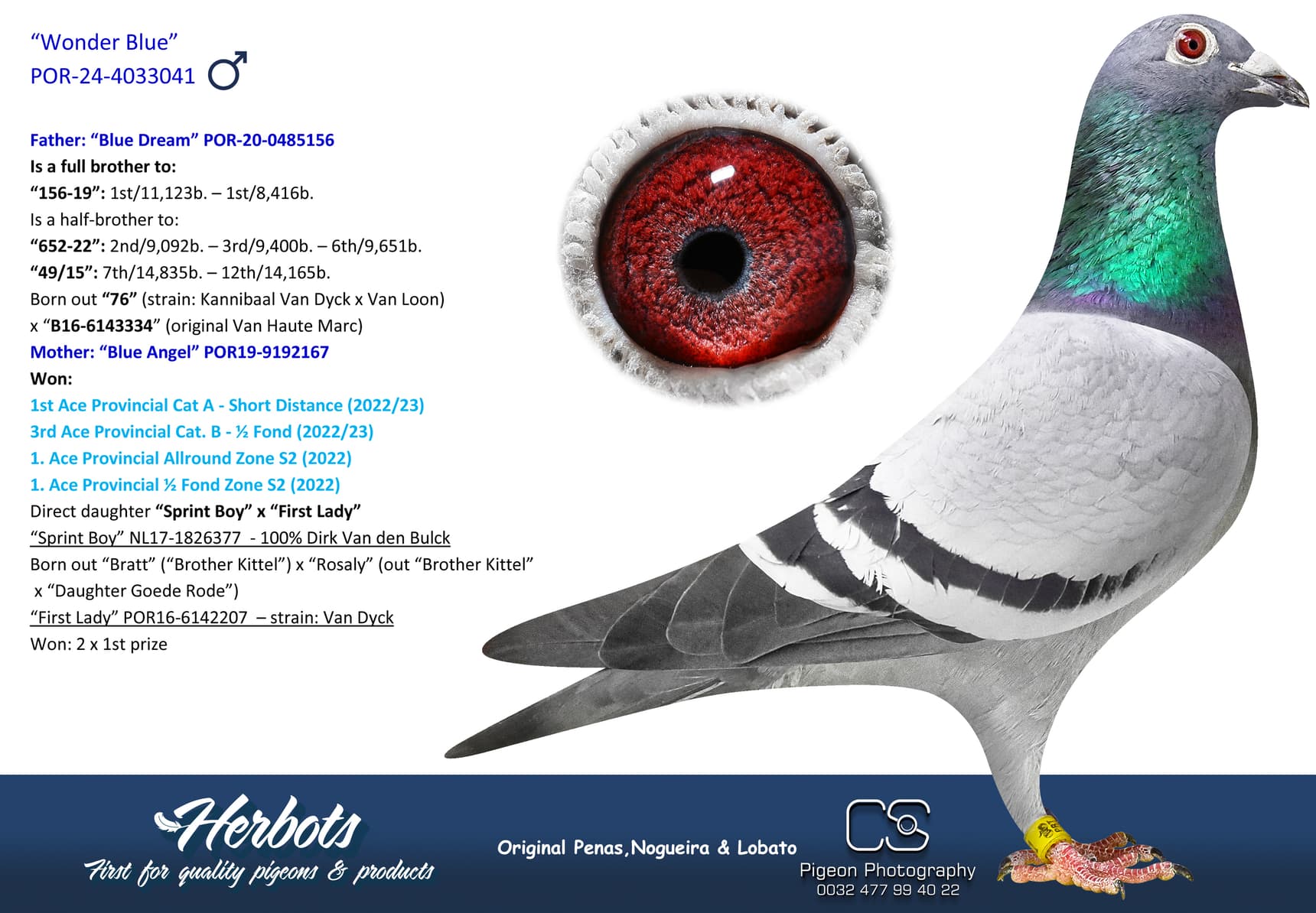 pigeon: undefined