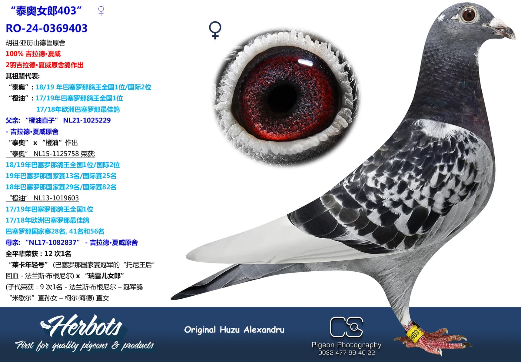 pigeon: undefined
