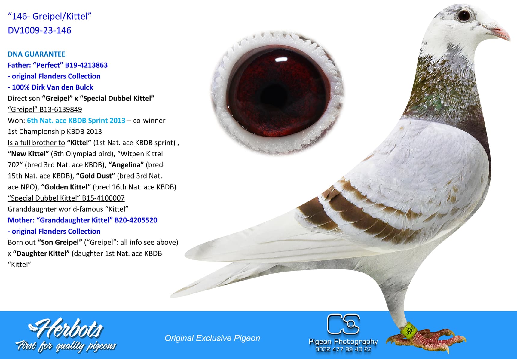 pigeon: undefined