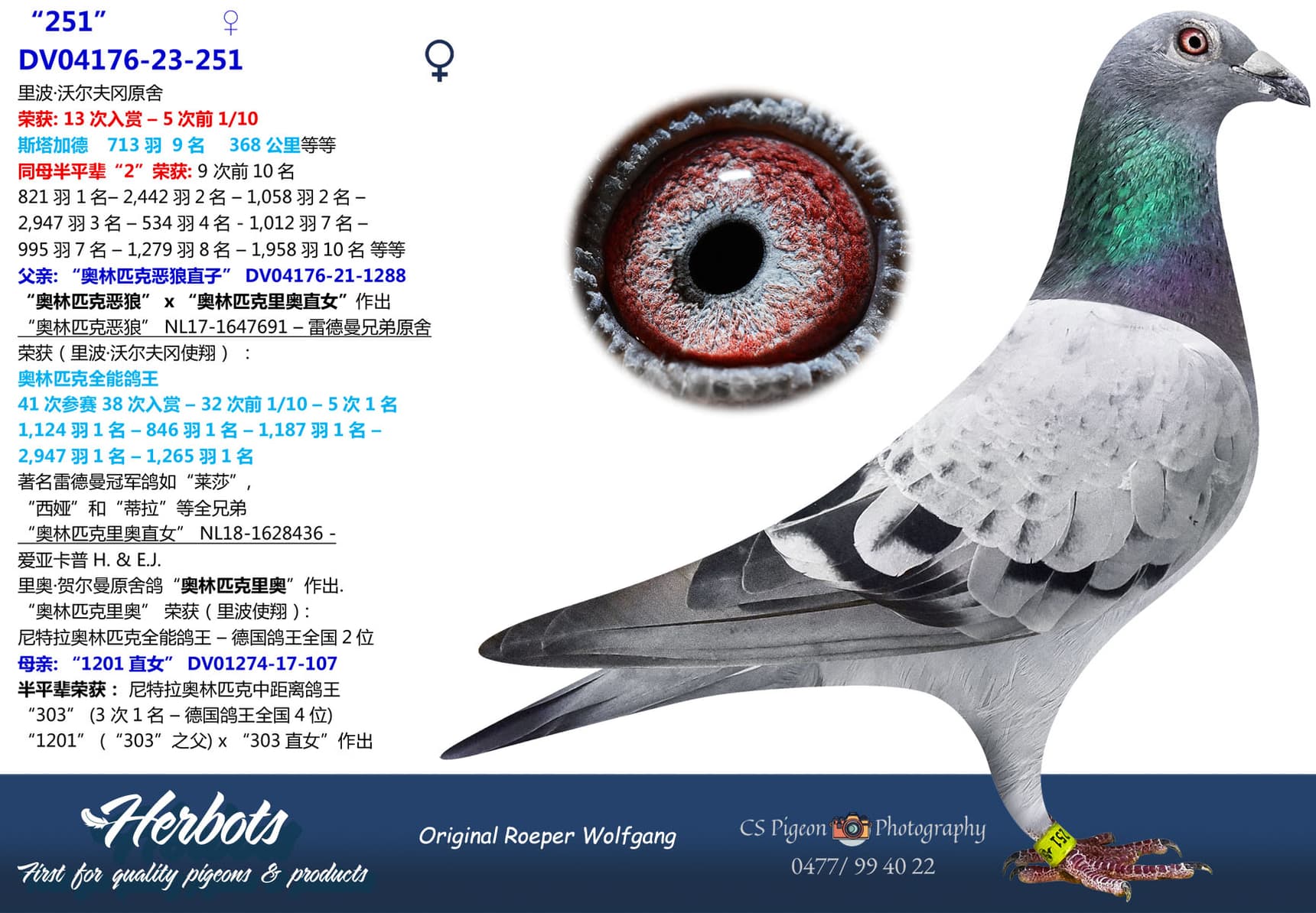 pigeon: undefined
