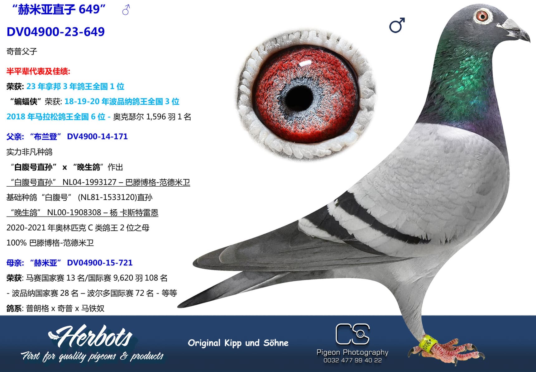 pigeon: undefined