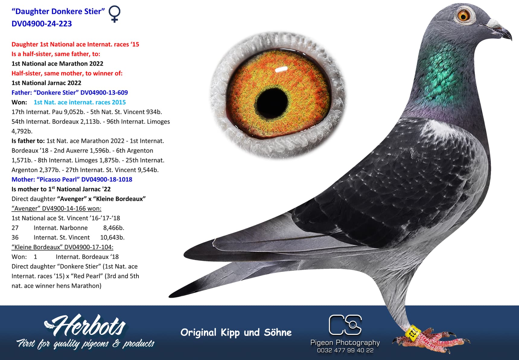 pigeon: undefined