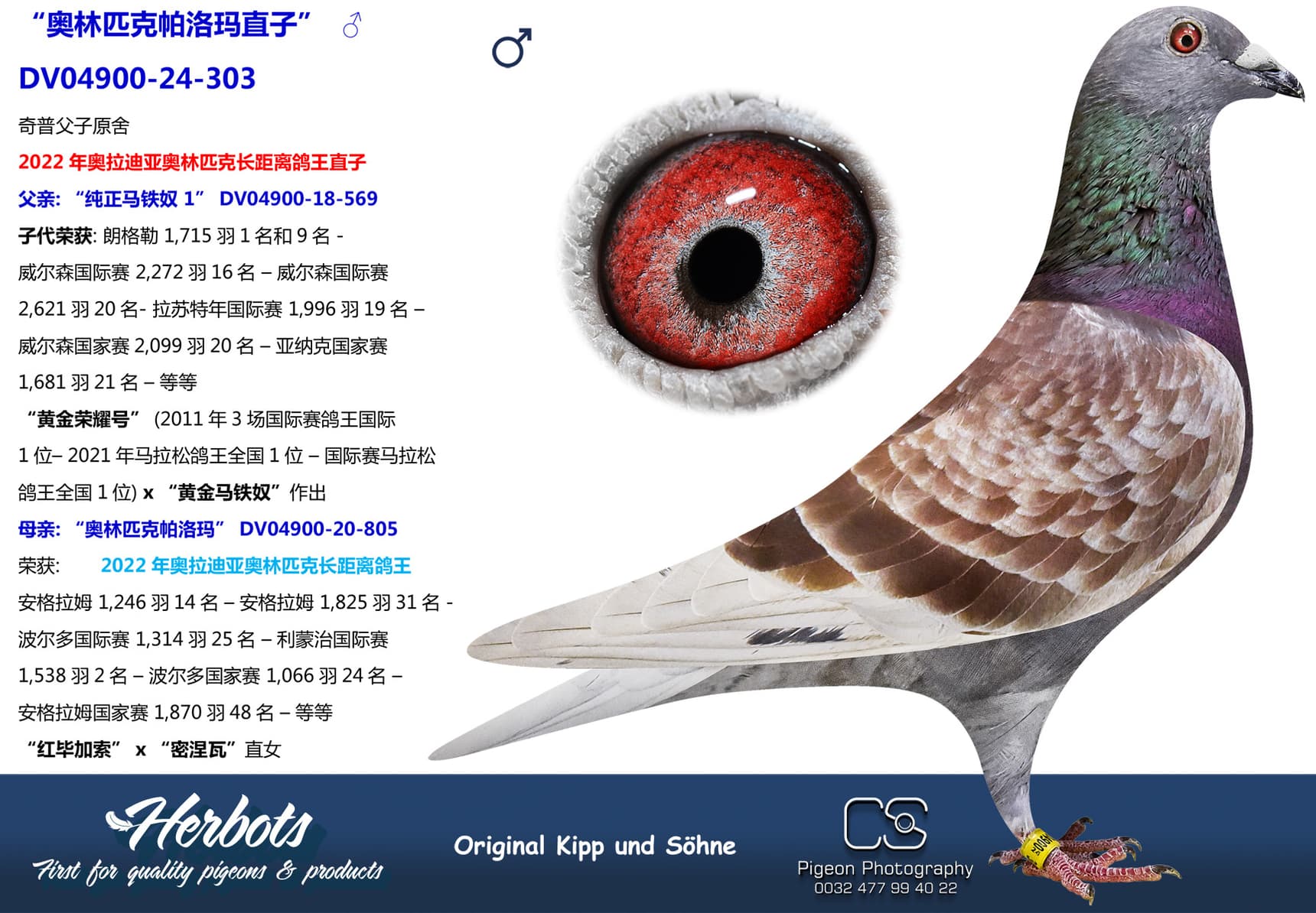 pigeon: undefined