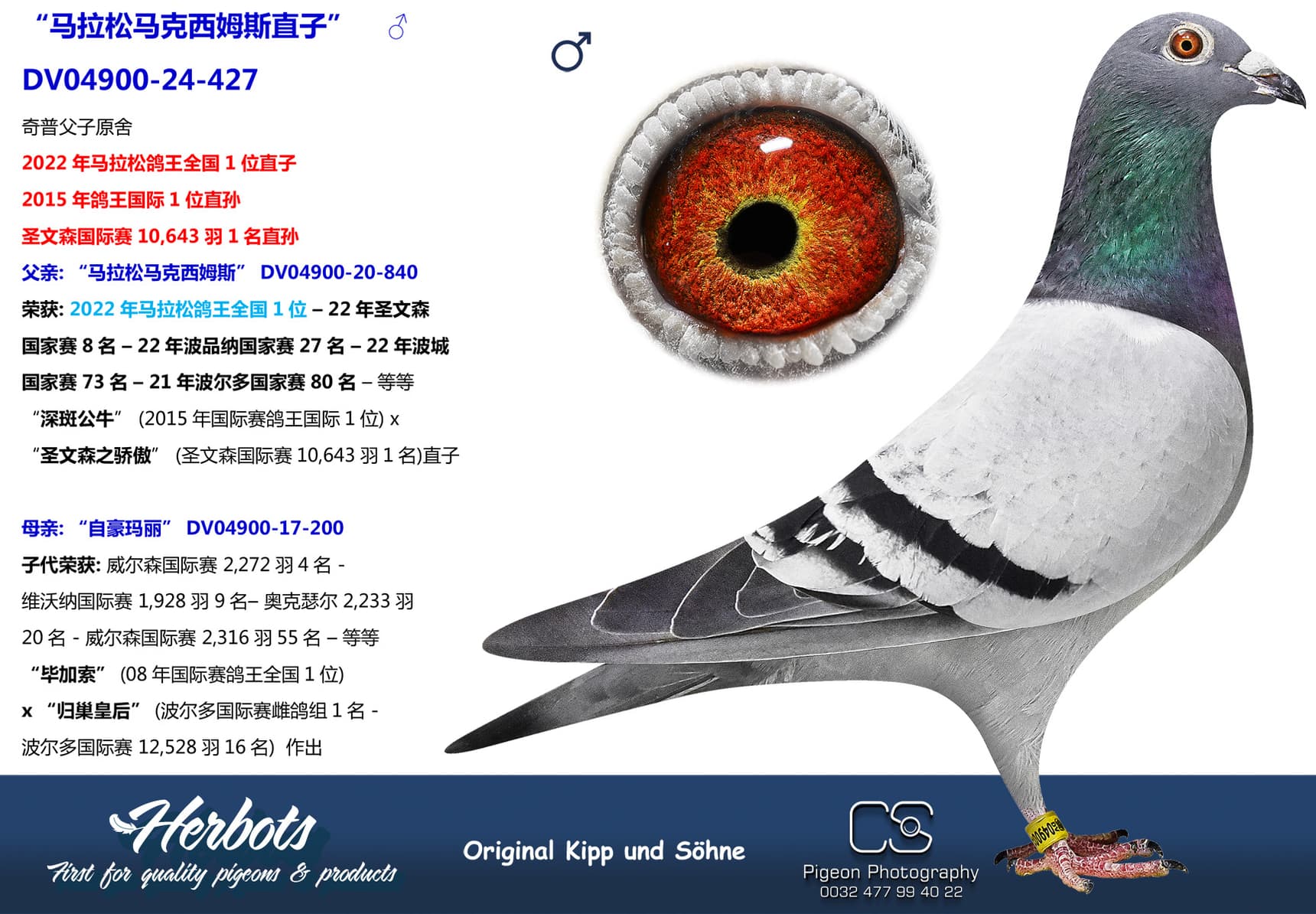 pigeon: undefined