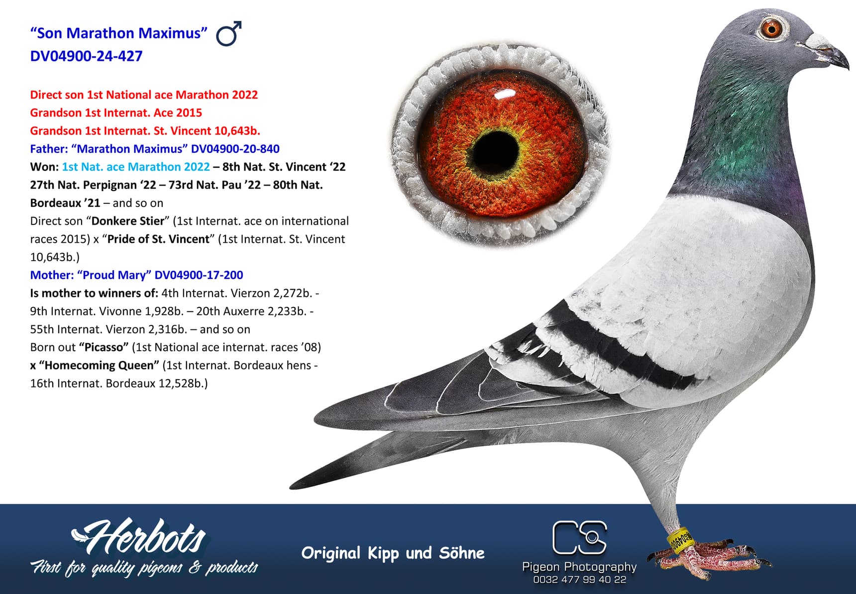 pigeon: undefined