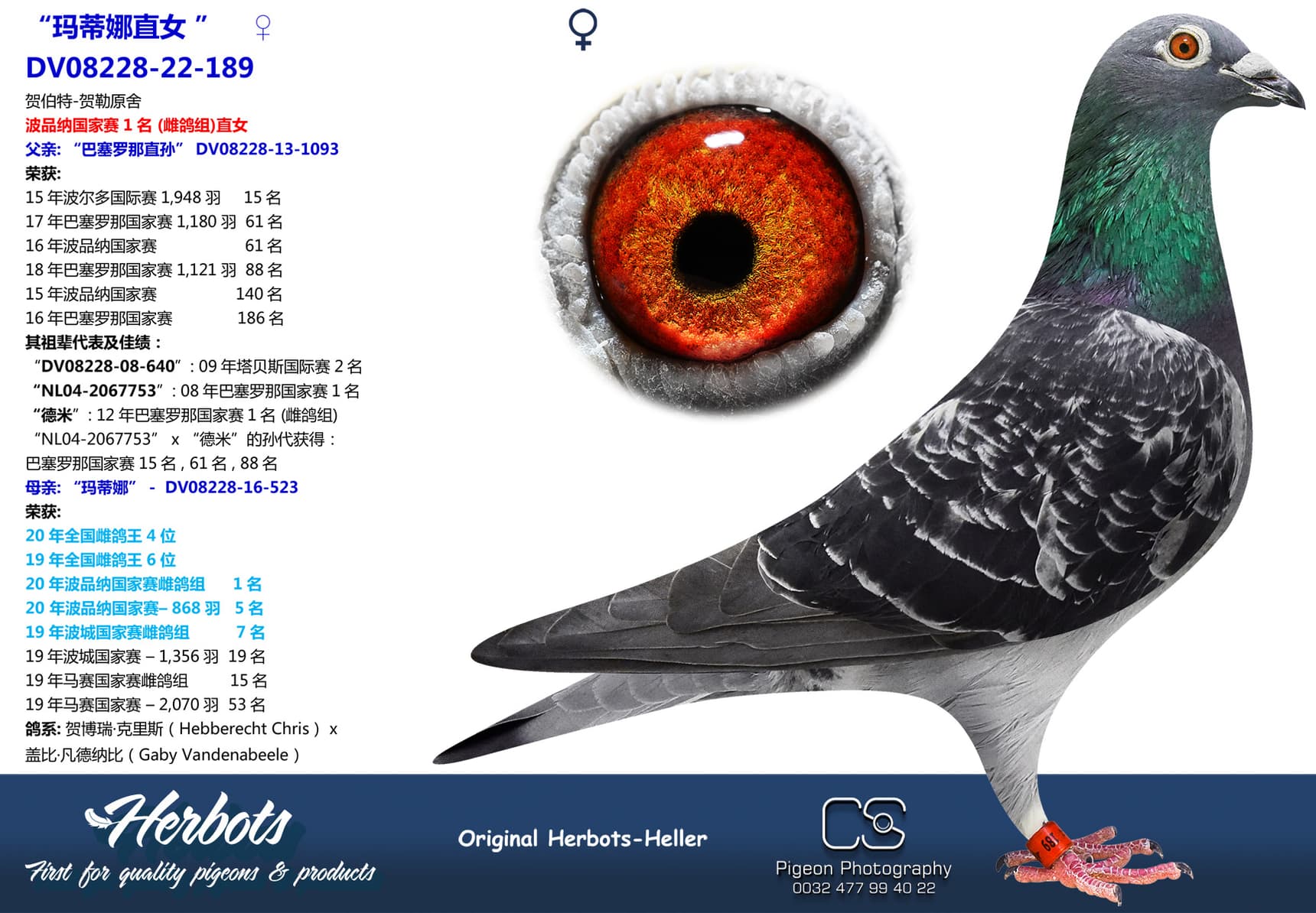 pigeon: undefined
