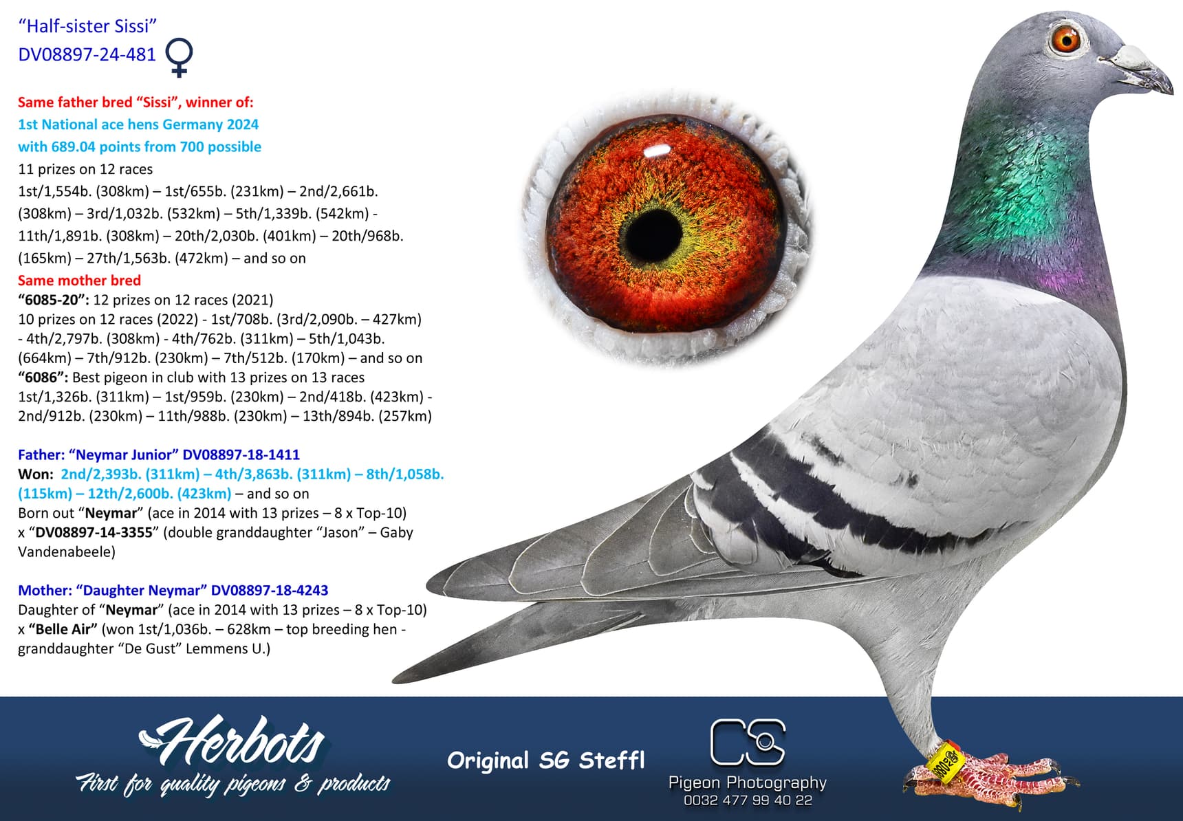 pigeon: undefined