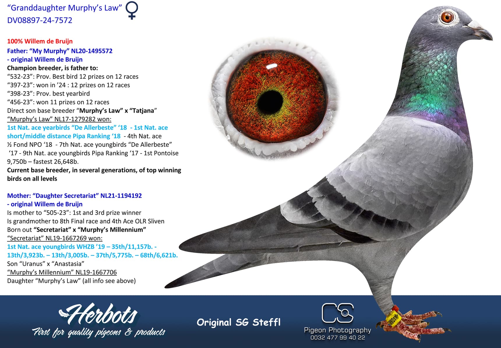 pigeon: undefined