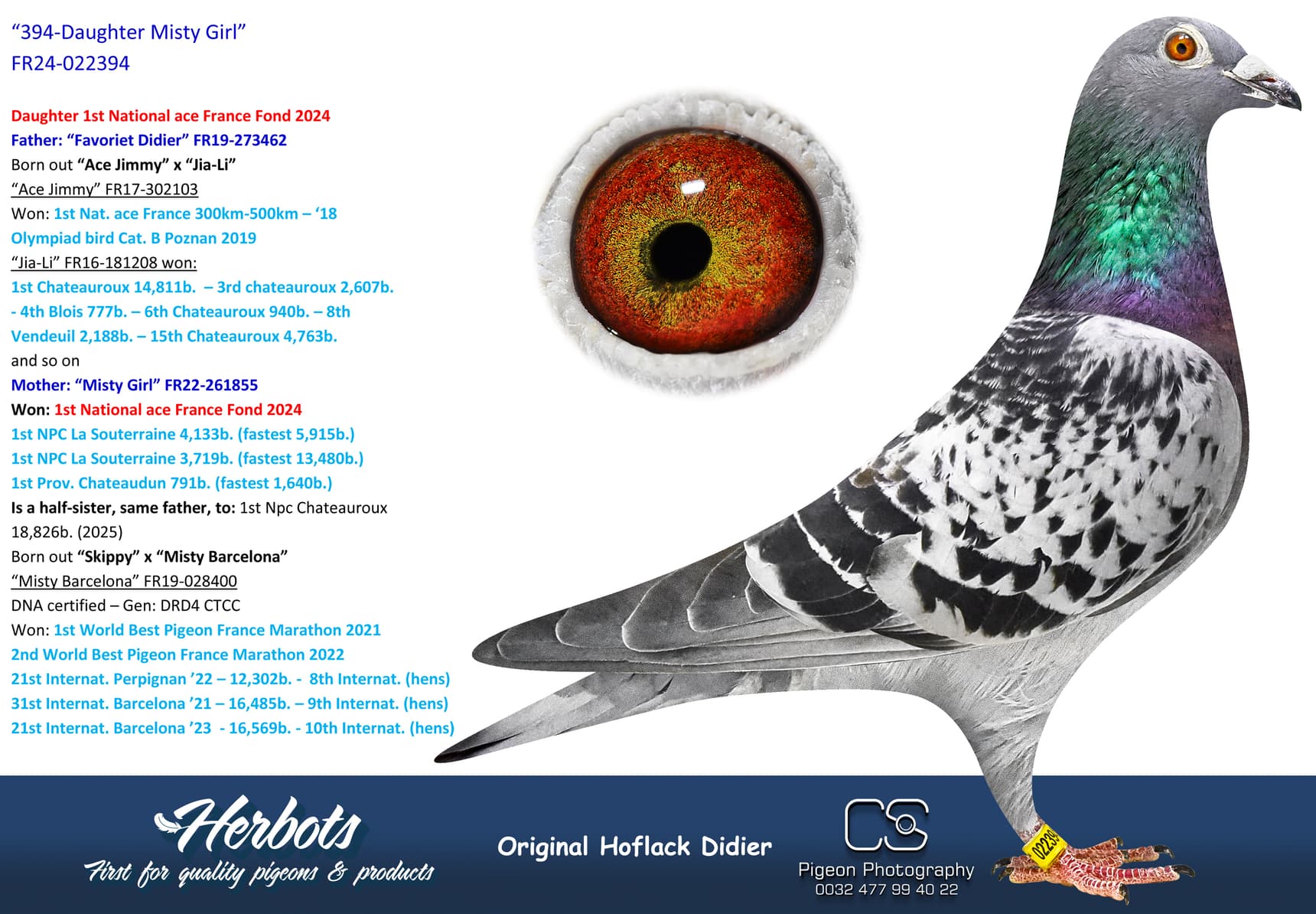 pigeon: undefined