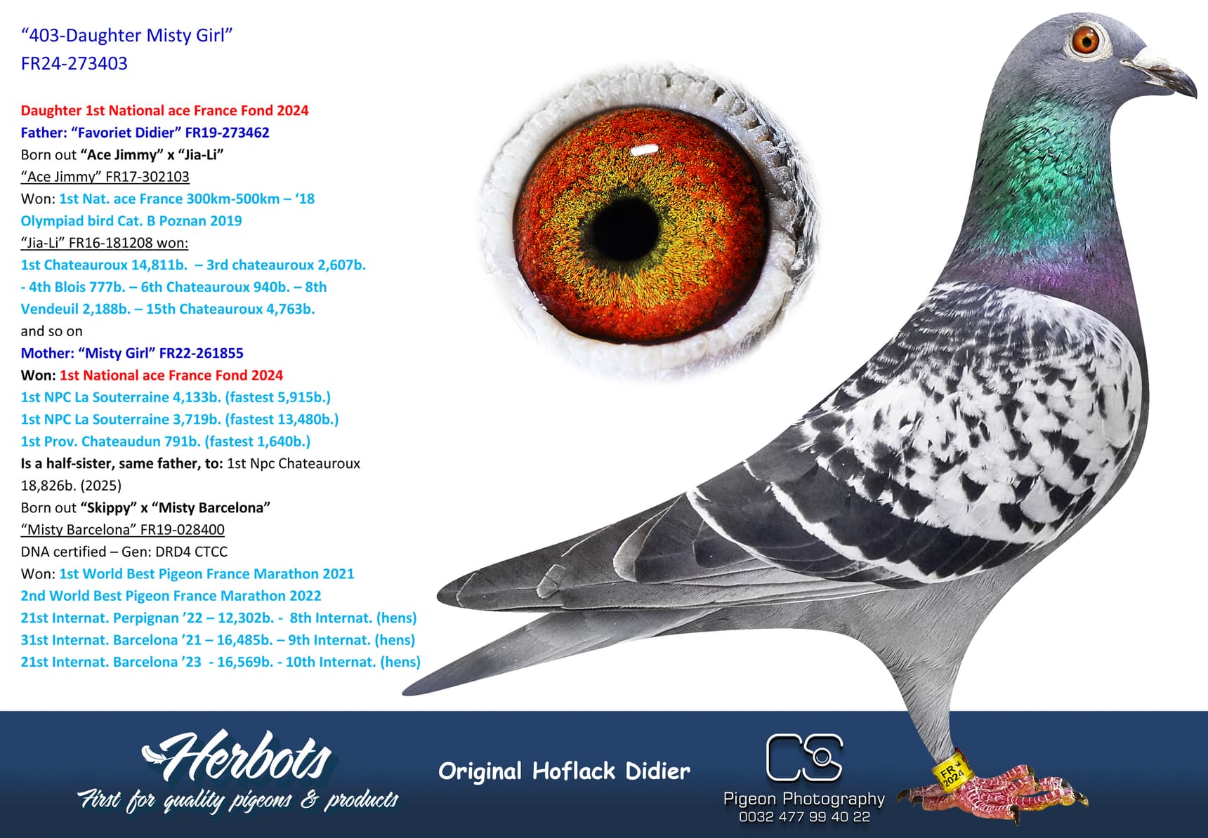 pigeon: undefined