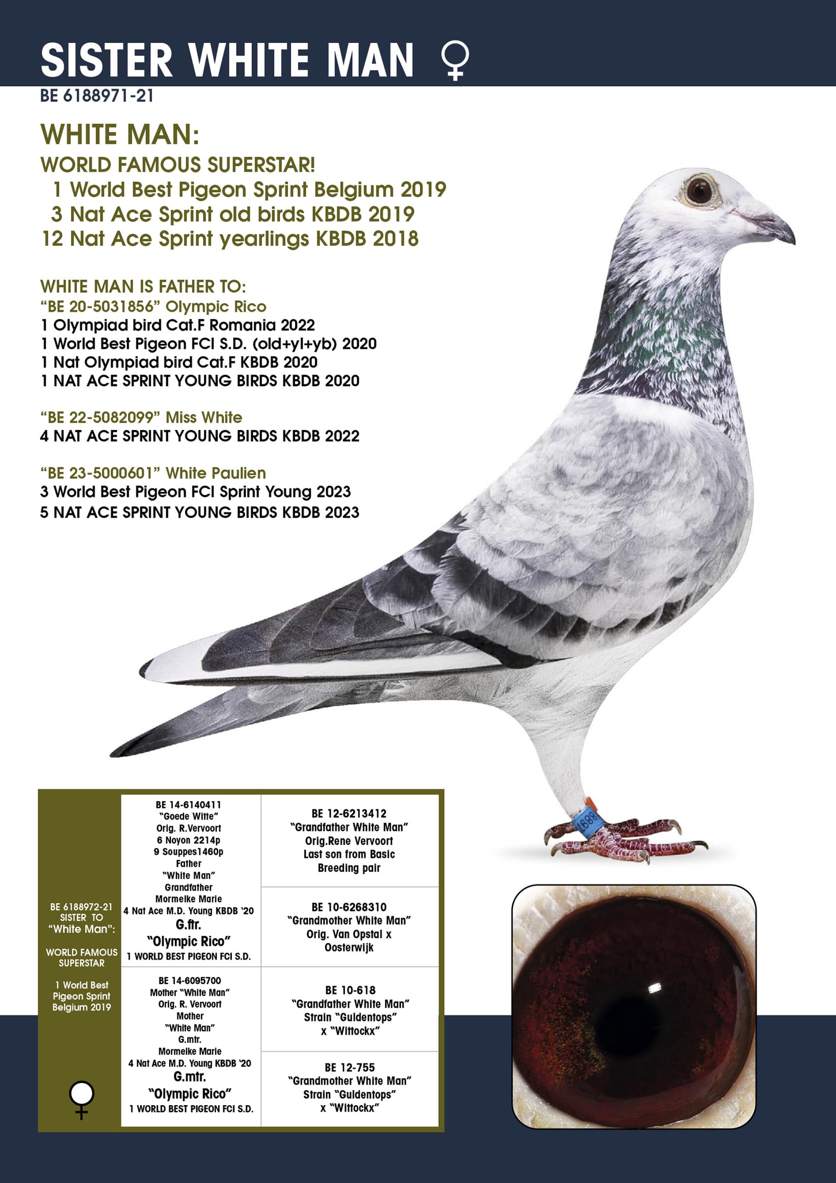 “971-sister White Man”