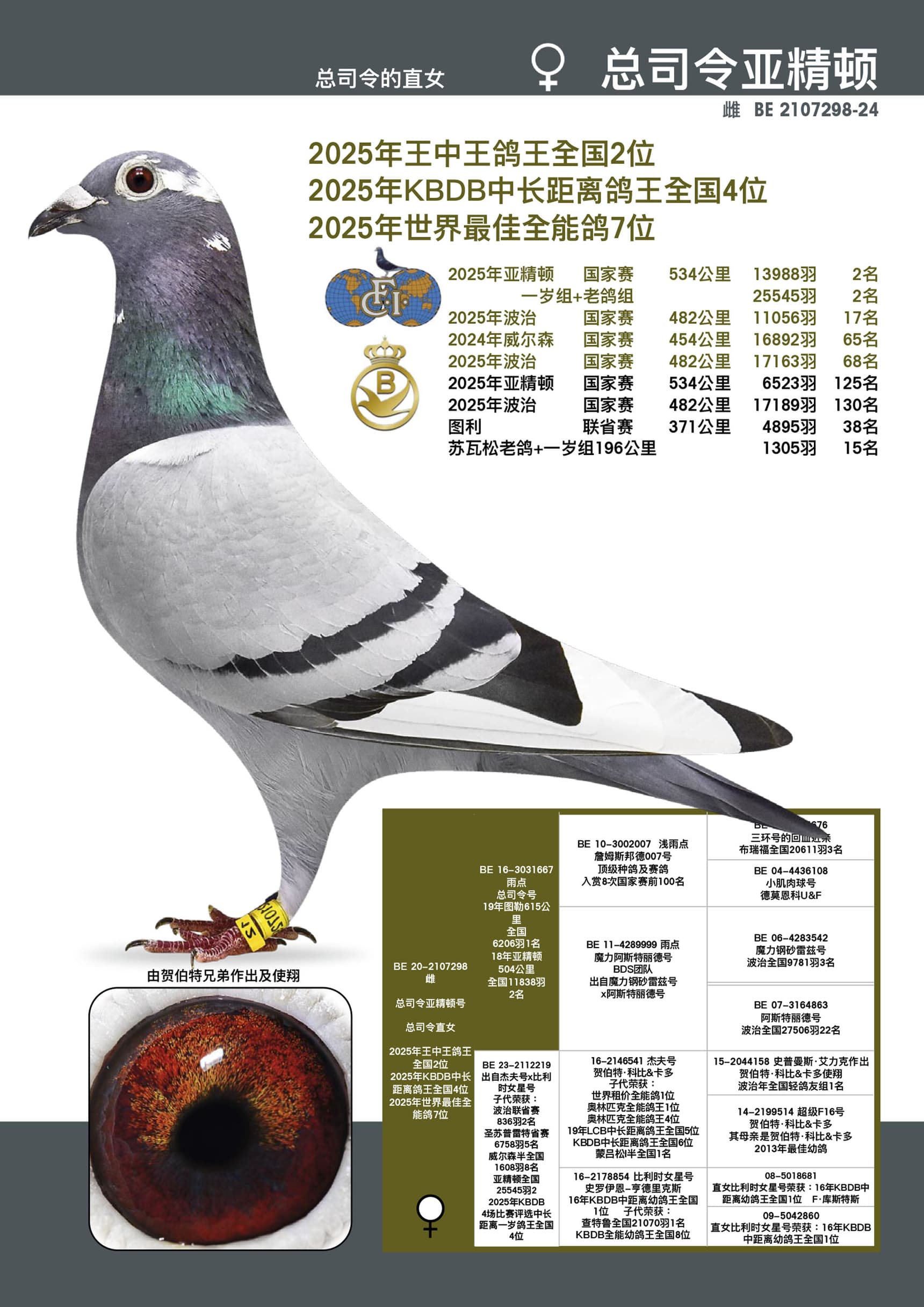 总司令亚精顿