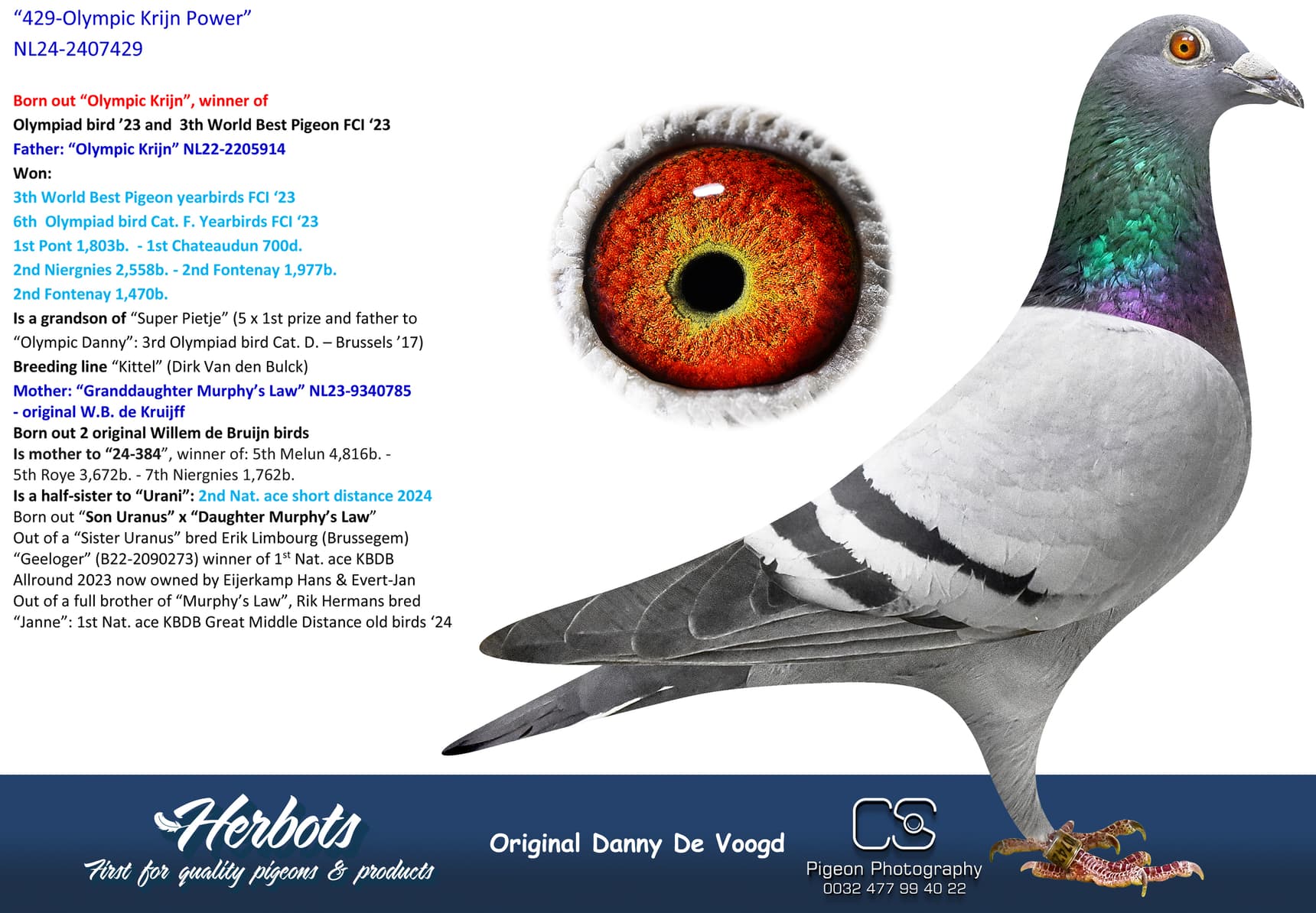 pigeon: undefined