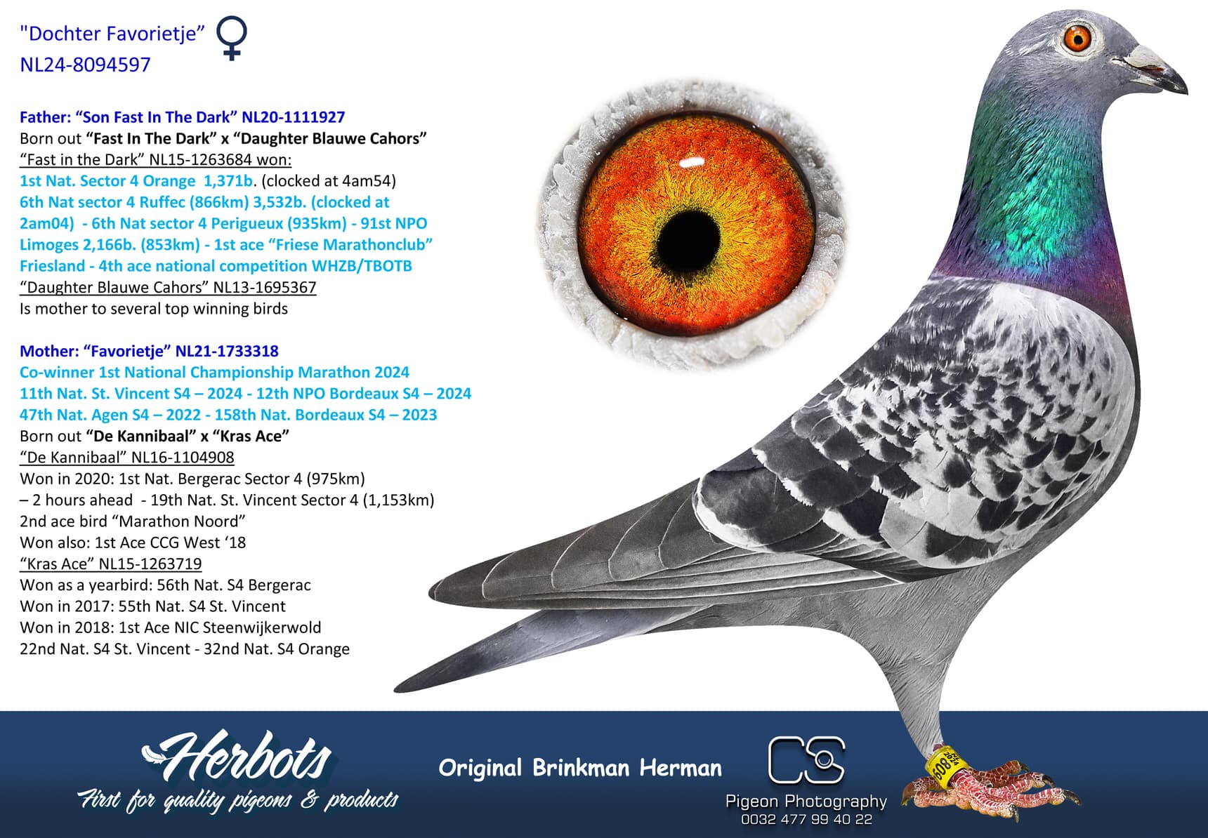 pigeon: undefined