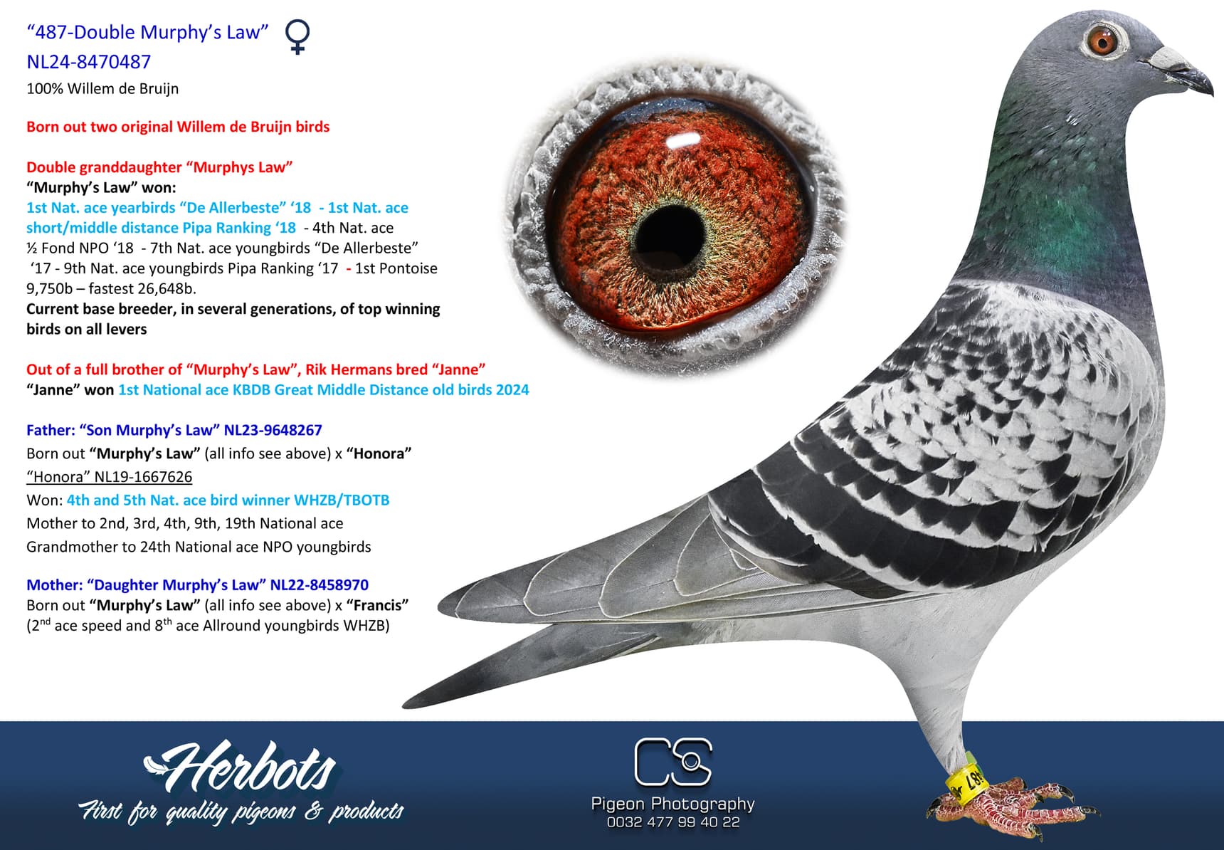 pigeon: undefined