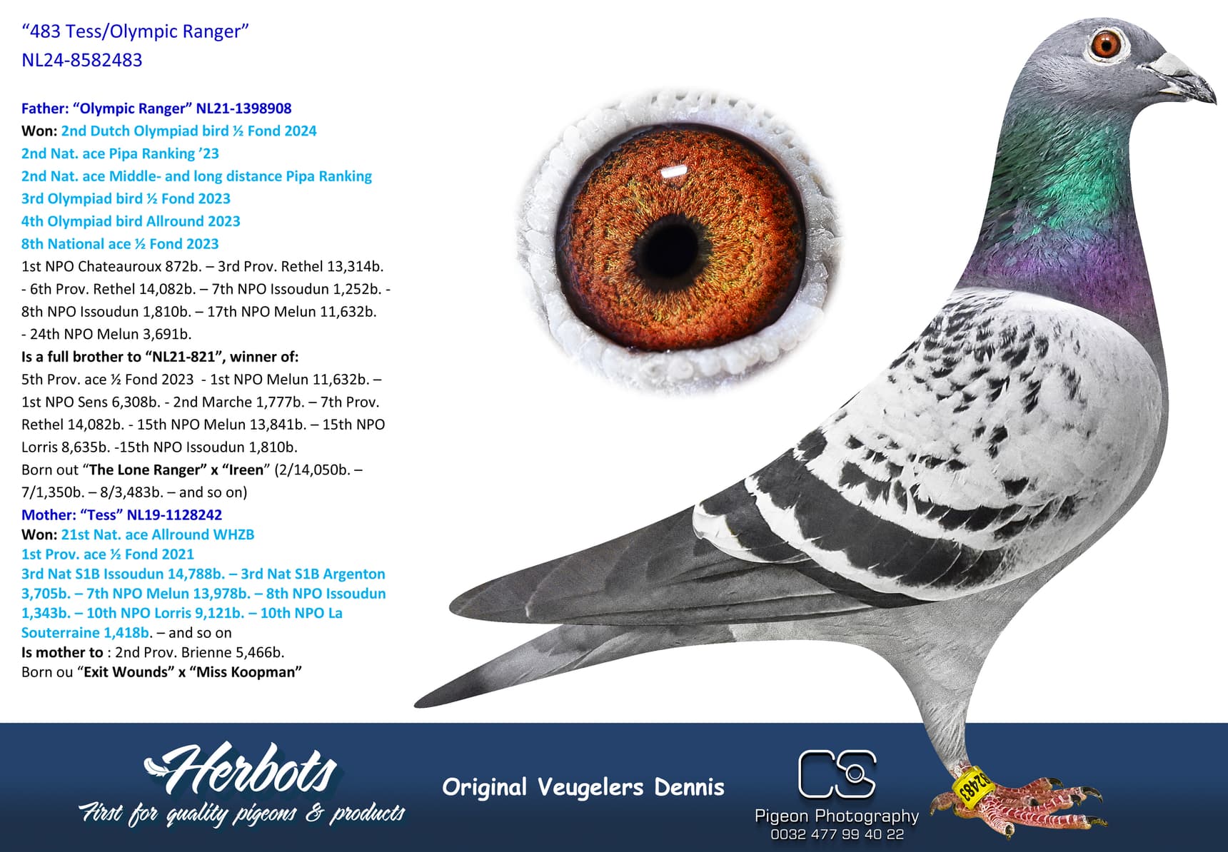 pigeon: undefined