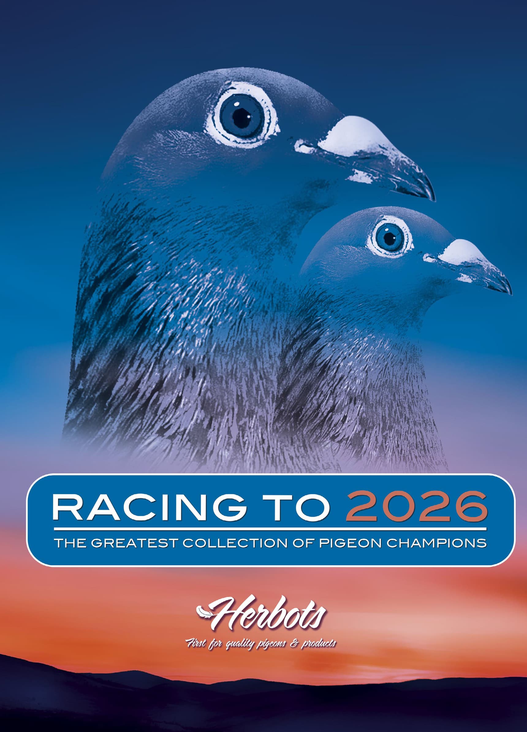 2026欧洲冠军鸽舍大全