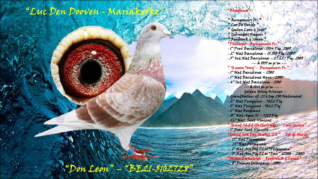 Luc Den Dooven