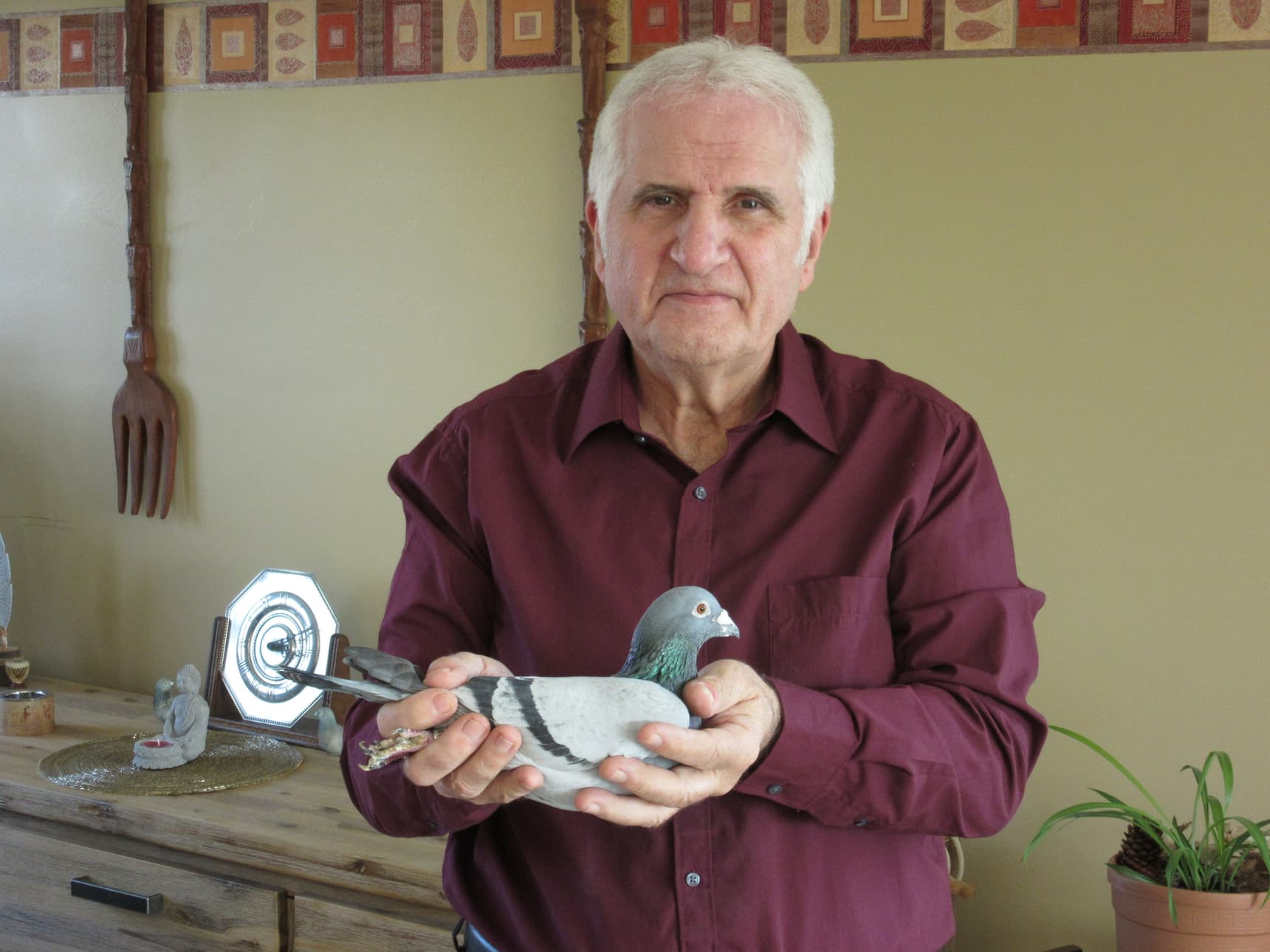 Paolo Chiacchietta