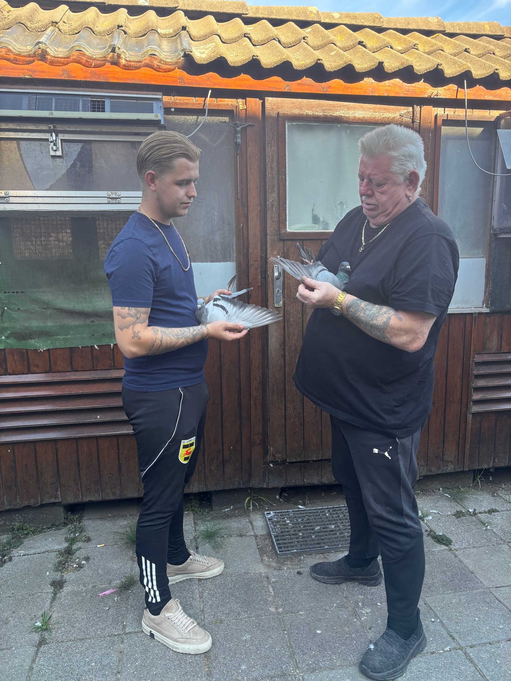 Comb. Scholten/Poelstra