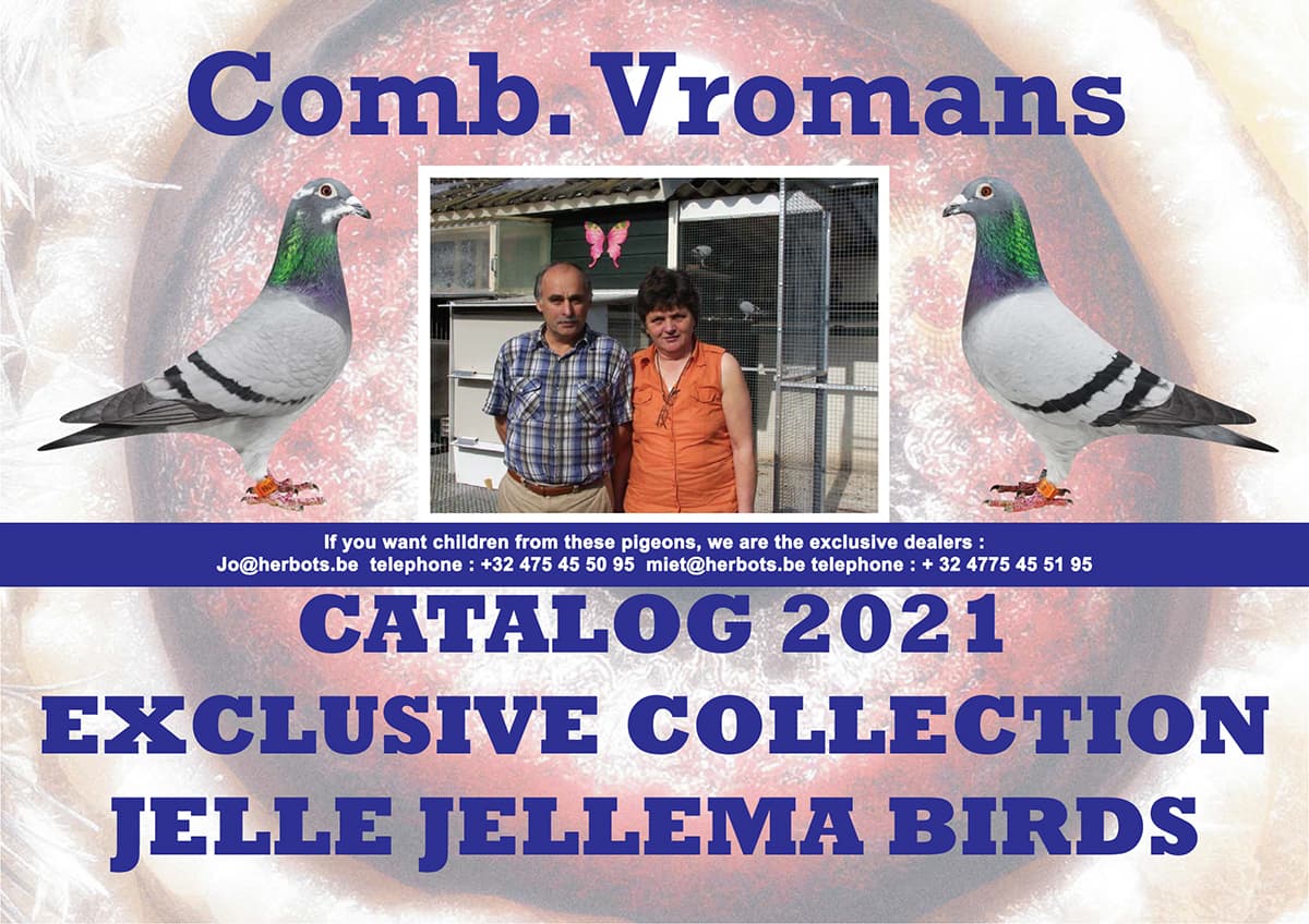 EXCLUSIVE COLLECTION JELLE JELLEMA BIRDS