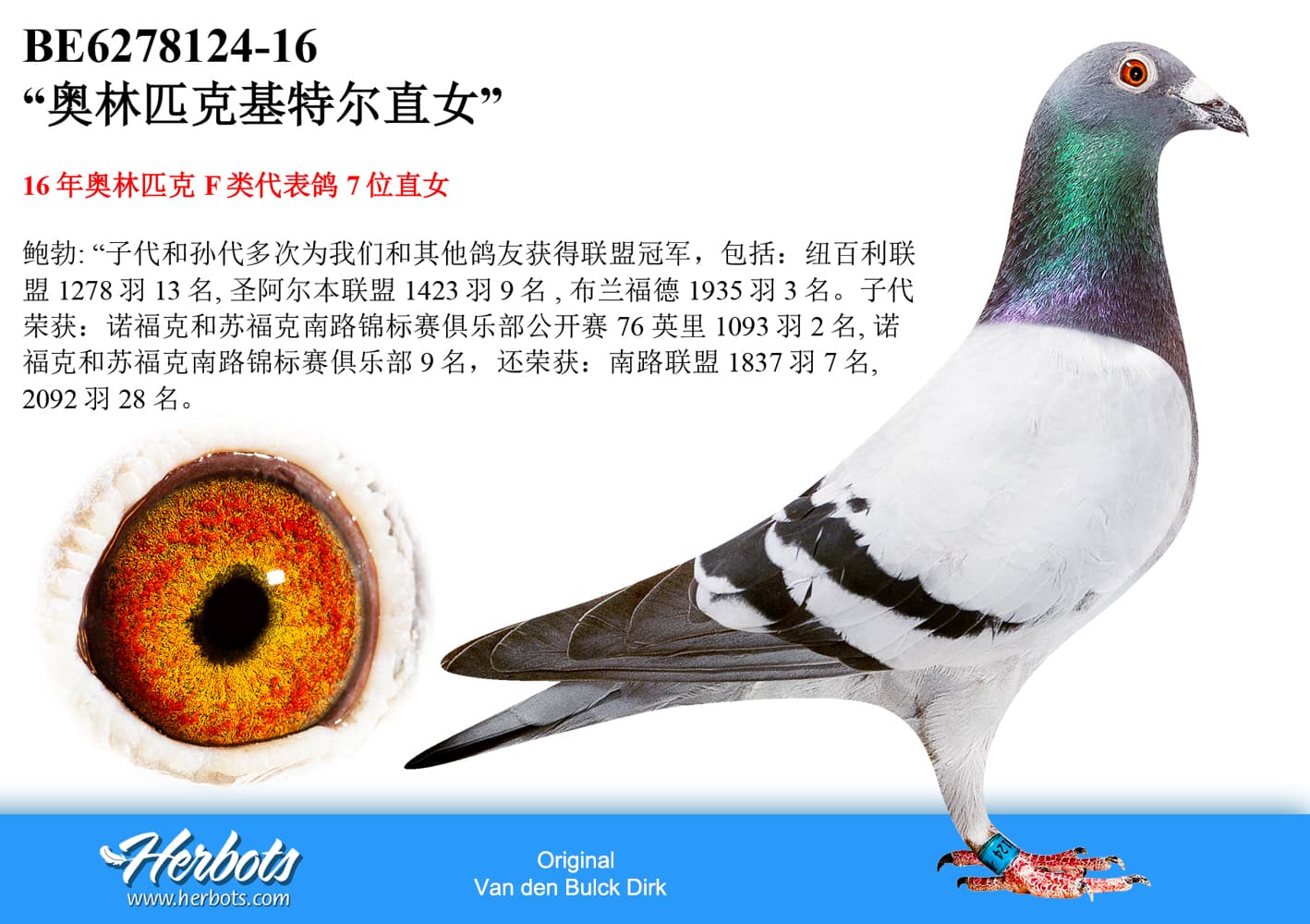 pigeon: undefined