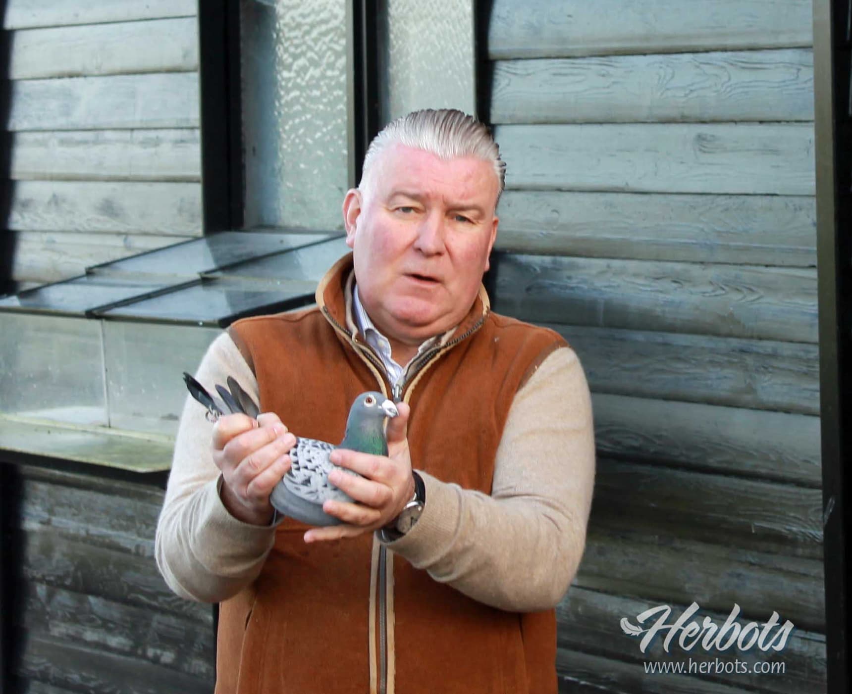 Bert Vanden Berghe (Wortegem-Petegem) : 1st national champion KBDB old birds
