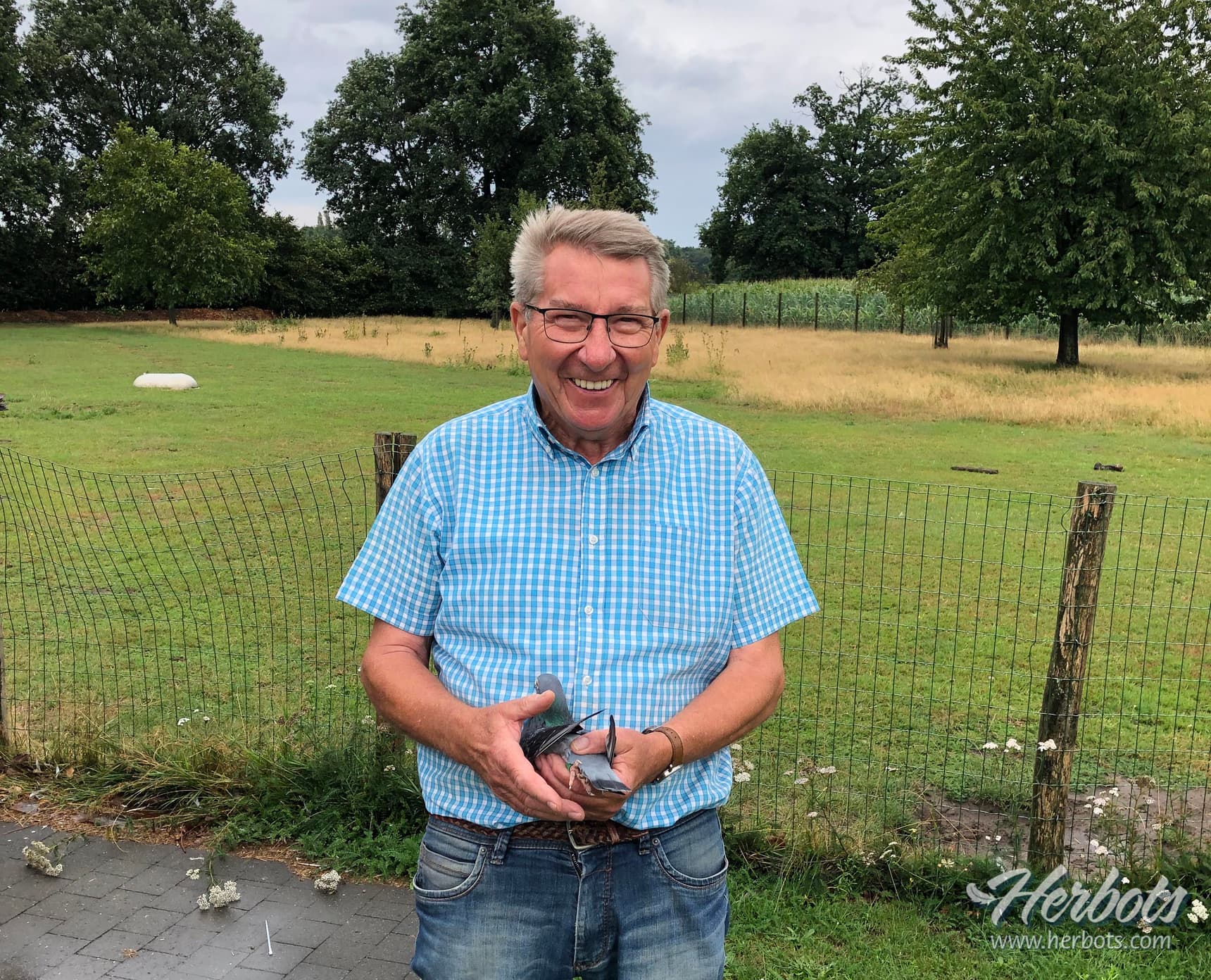 Vic De Wilder - Berlaar - 1st National Ace bird Great Middle Distance Old KBDB 2019