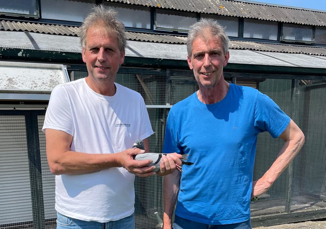 Frères Desbuquois F. (Kapelle-op-den-Bos) gagnent la 1ère Prov. Tulle Brabant flamand contre 734 vieux pigeons (le plus rapide de 1.491d)