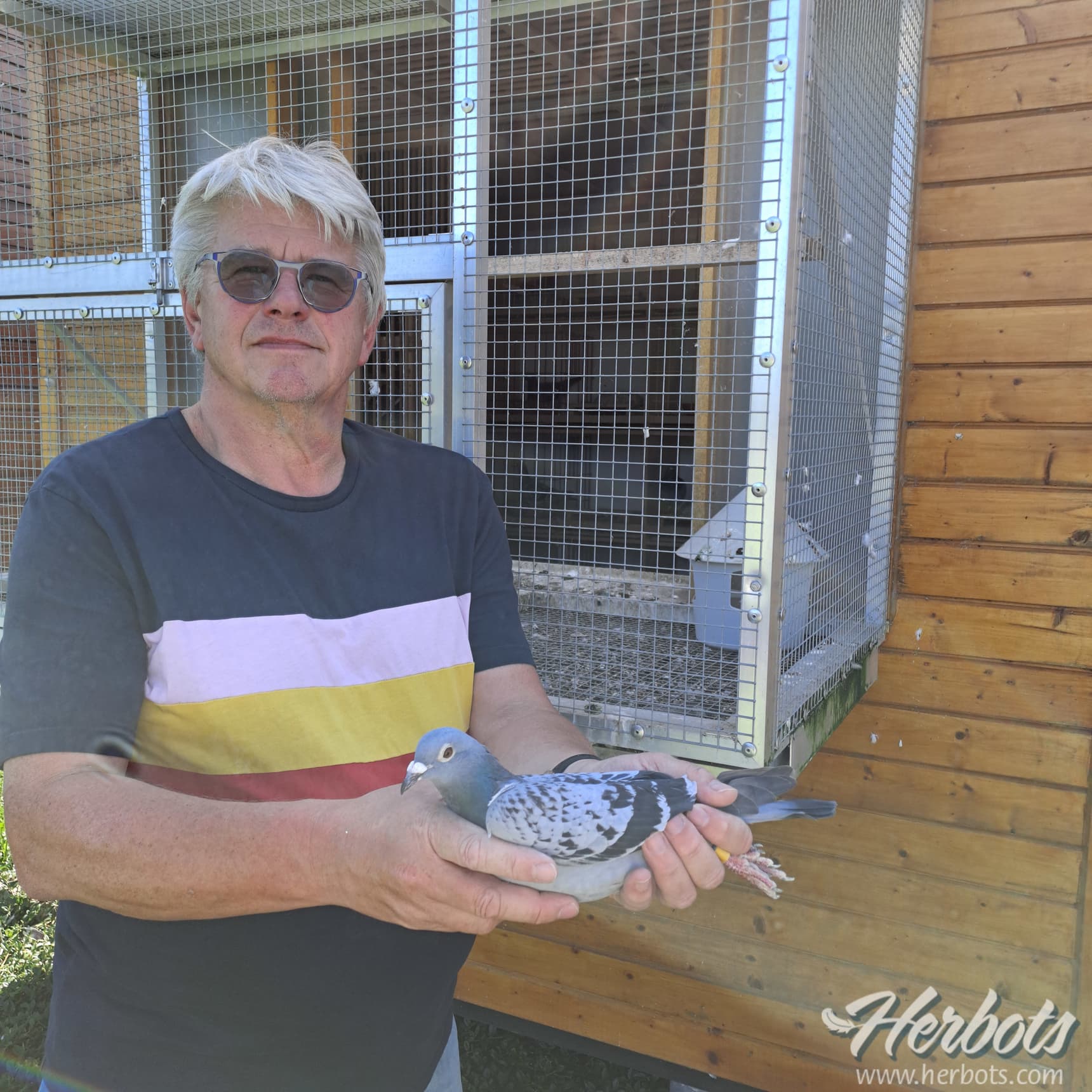Dirk Martens (Deinze) wins 1st and 2nd Prov. Narbonne East Flanders for yearlings