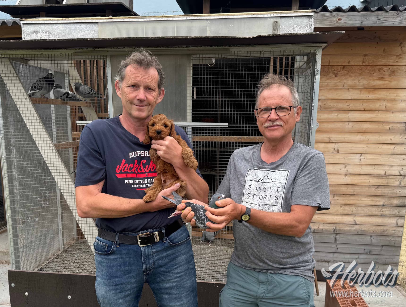 Hazaert Gerry (Neerijse) wins 1st Provincial Narbonne with top pigeon “Maurice”