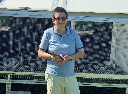 Bleus Marleen (Wellen) wins 1st Prov. Pau Limburg against 312 pigeons (3rd National against 3,368 pigeons)