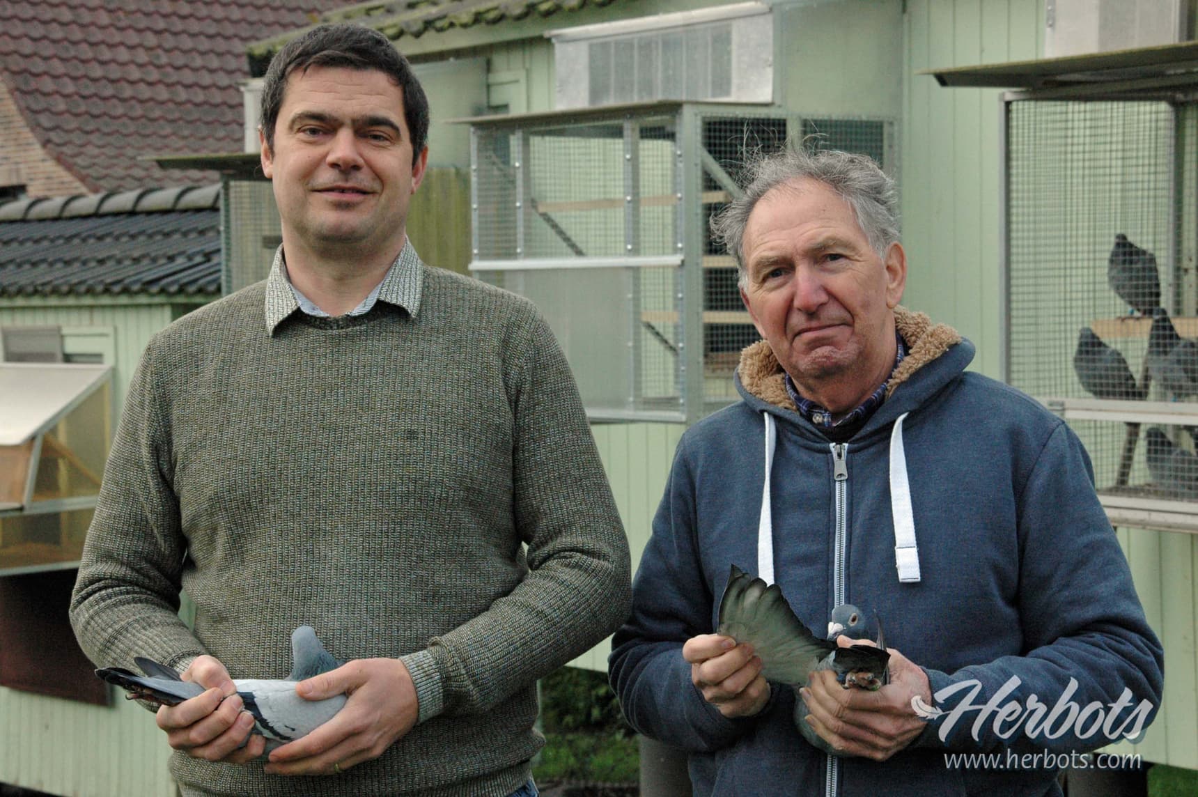 Nechelput-Cornet (Kester) 1st National champion KBDB old + year birds 2020 2nd National ace bird KBDB short distance old 2020 6th National ace bird KBDB short distance year birds 2020