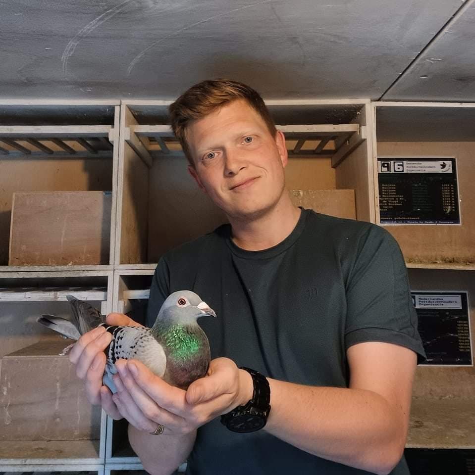 Patrick Noorman: From passion to perfectionism in pigeon racing