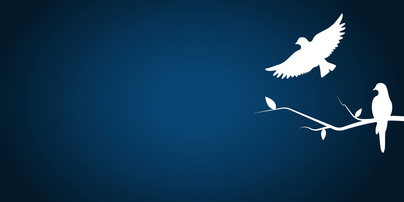 Wij vernamen het overlijden van Ignace Ameel