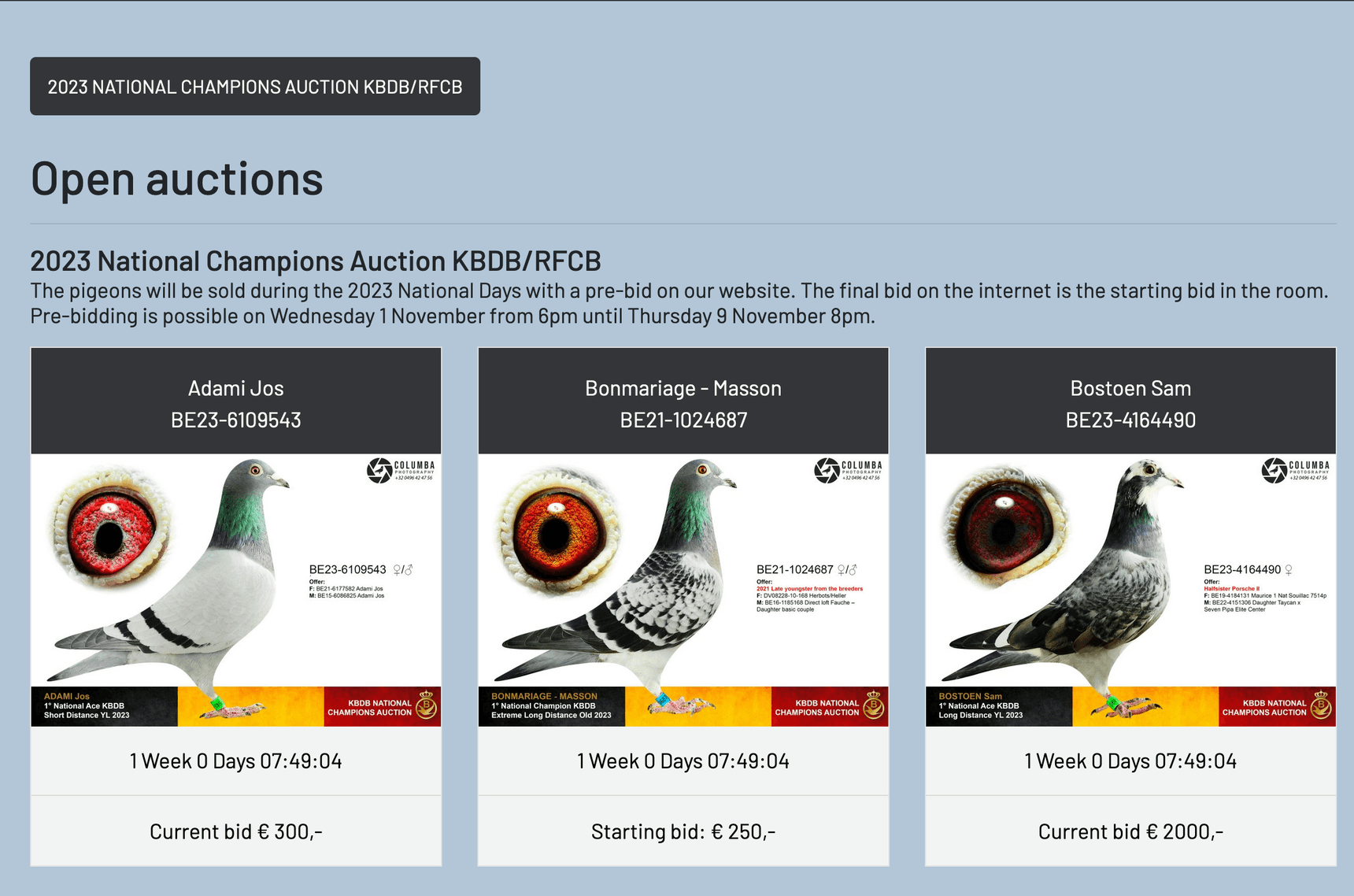 2023 National Champions Auction KBDB/RFCB