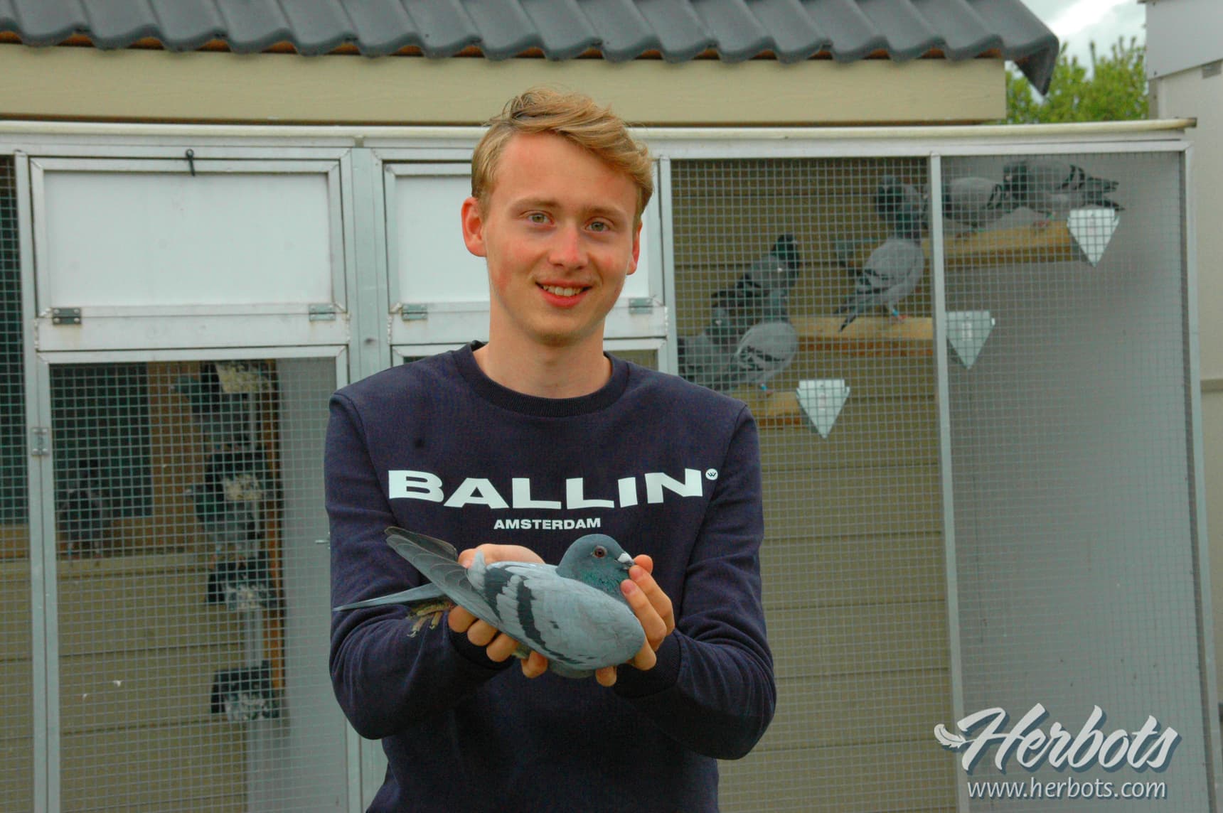 Van den Berghe Arno - Ophasselt 1ère Prov. Vierzon Flandre Orientale 4.543 yearlings - plus rapide contre 11.858b